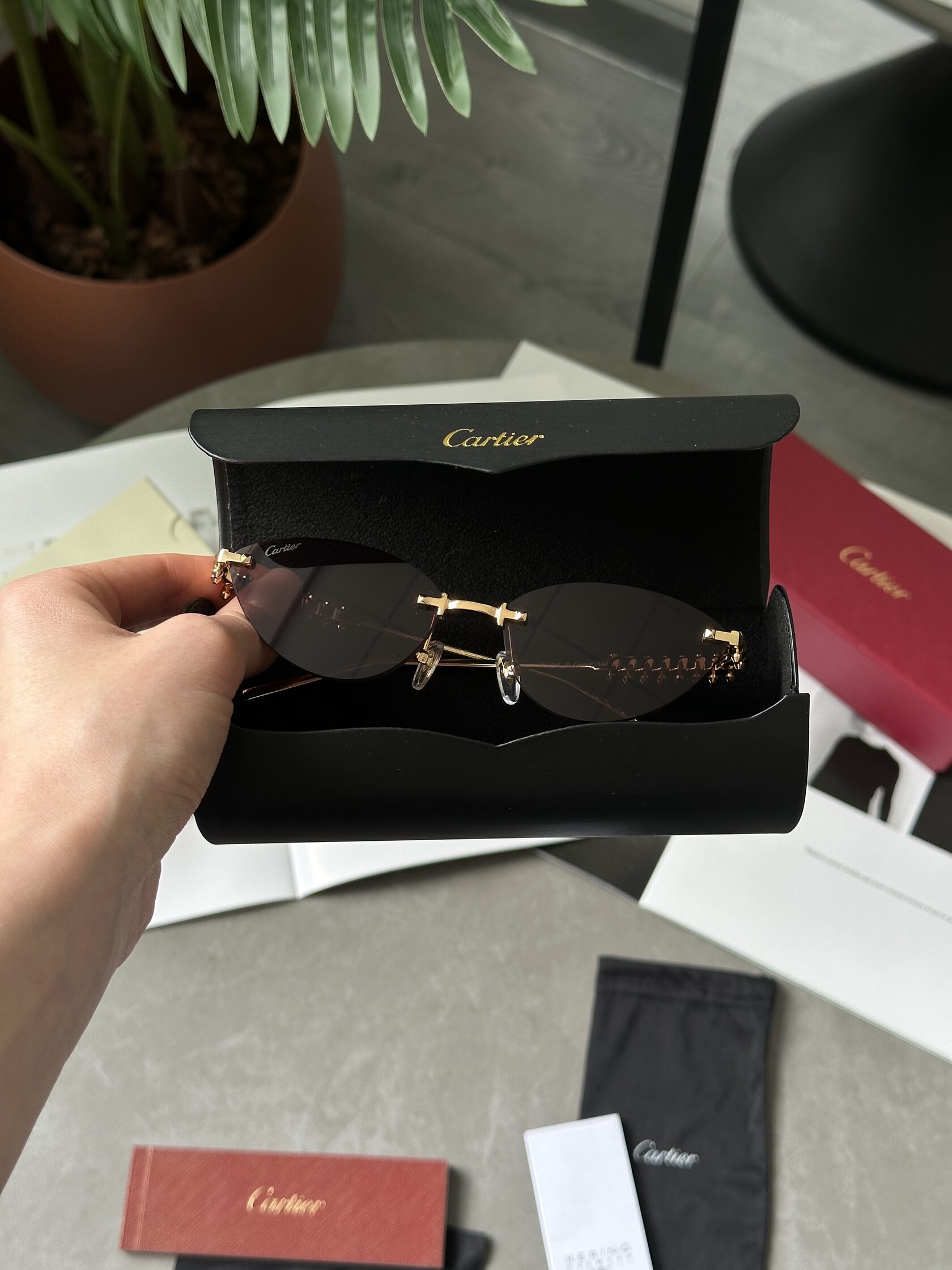 Cartier Clash Brown/Gold CT0543S 001L cat.2 - 2