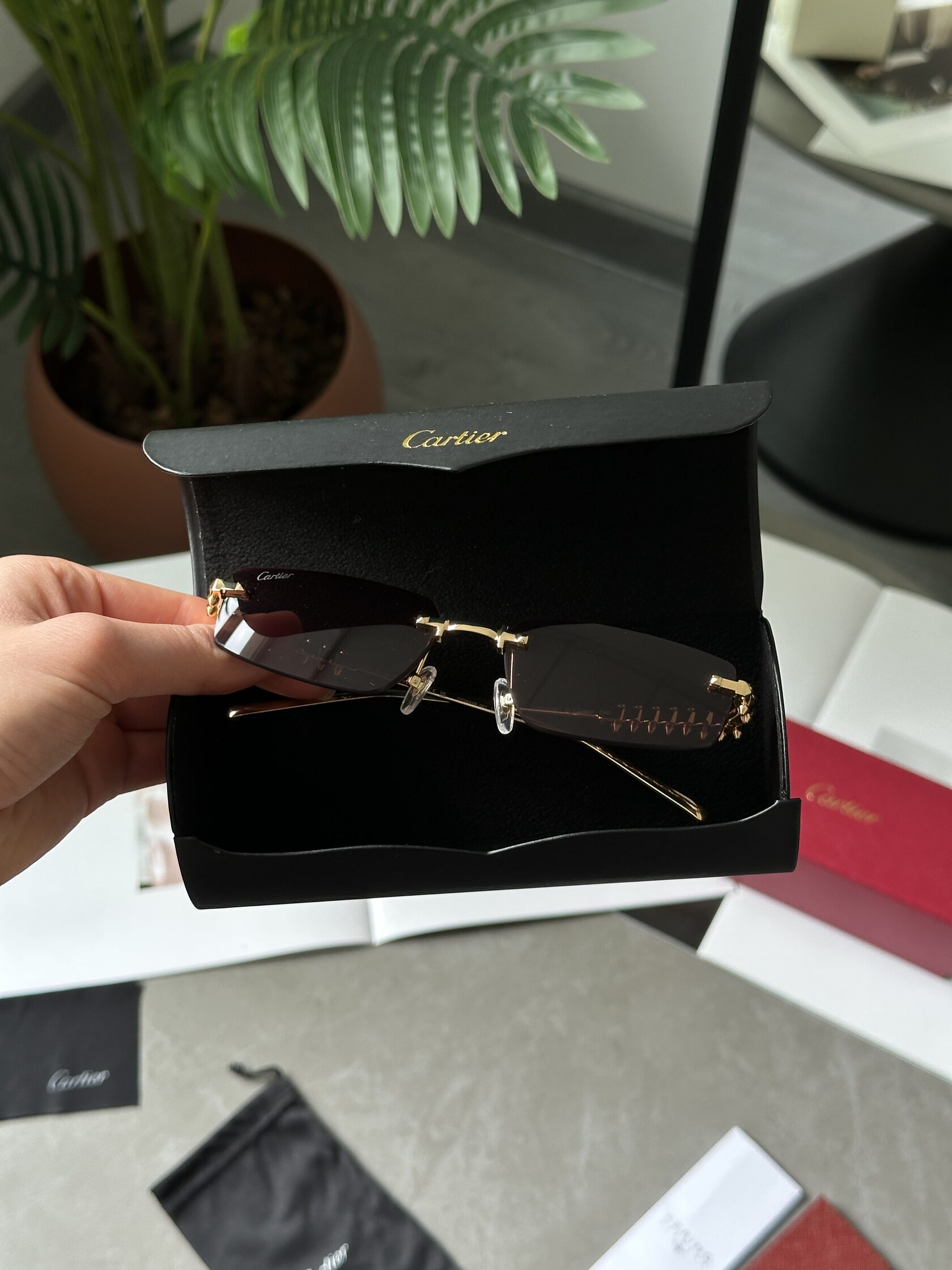 Cartier Clash Pink/Gold CT0544S 001 L Cat.2 - 4