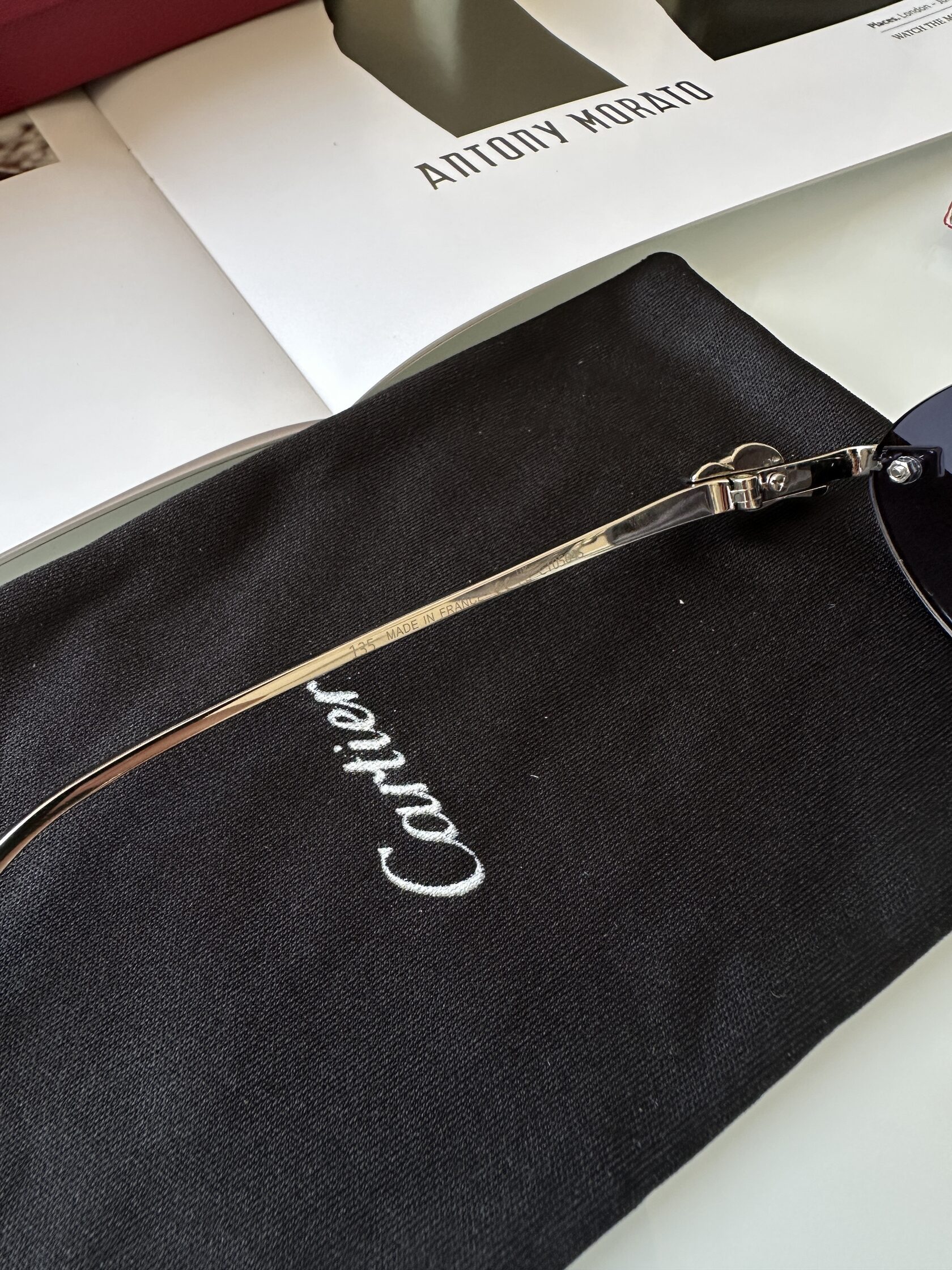 Cartier Panthère Blue/Silver CT0504S - 12