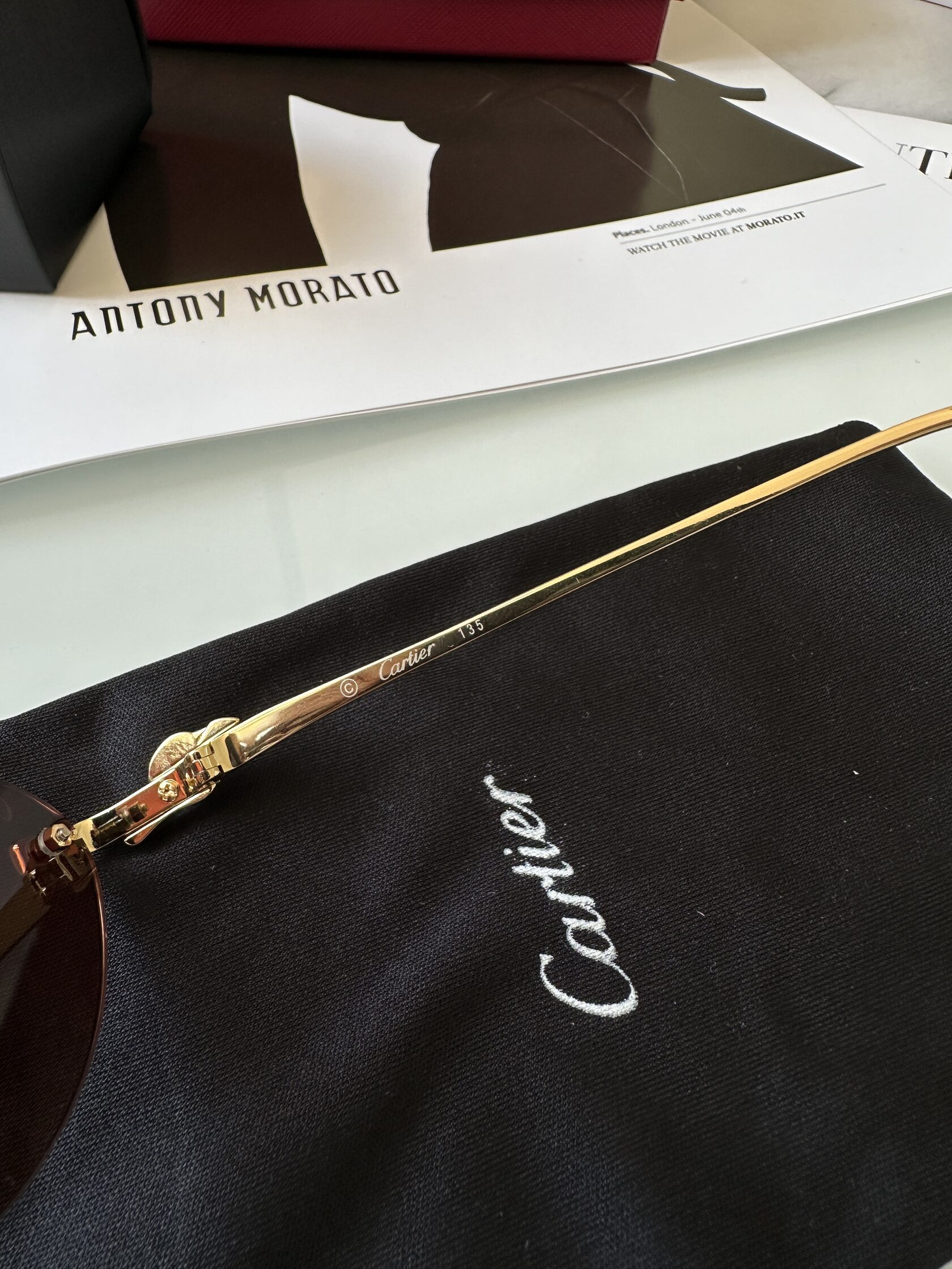 Cartier Panthère Brown/Gold CT0504S - 10