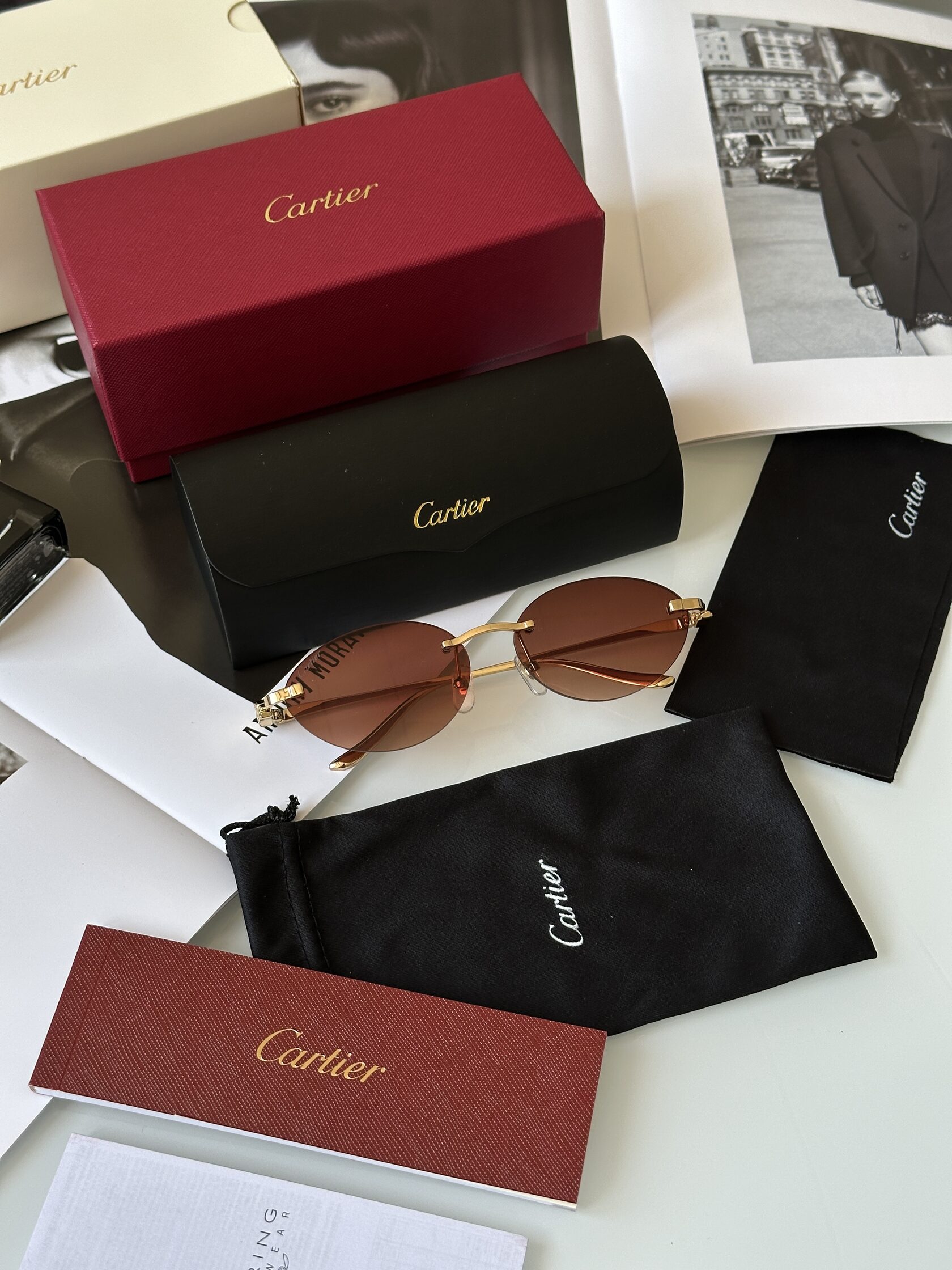 Cartier Panthère Brown/Gold CT0504S - 3