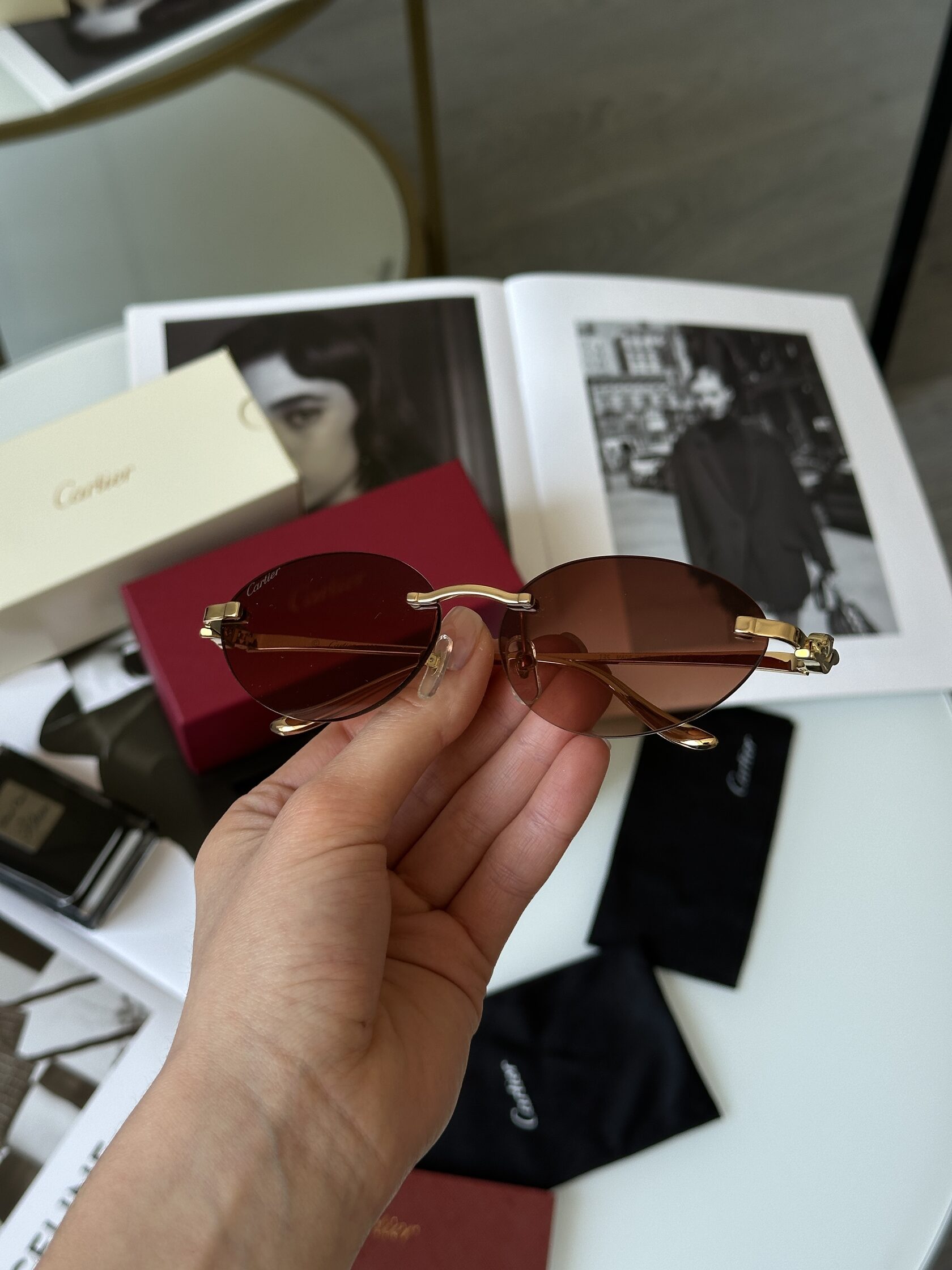 Cartier Panthère Brown/Gold CT0504S - 5