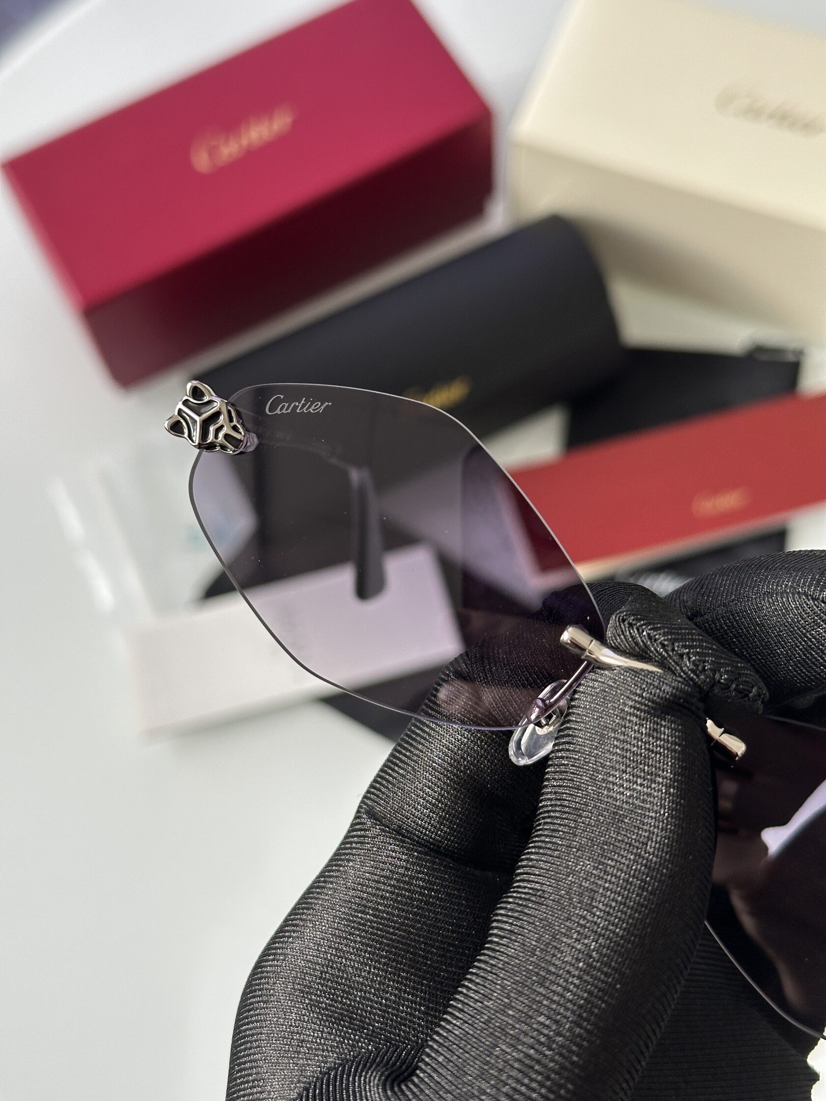 Cartier Panthère Losange Blue/Silver CT0433S - 12