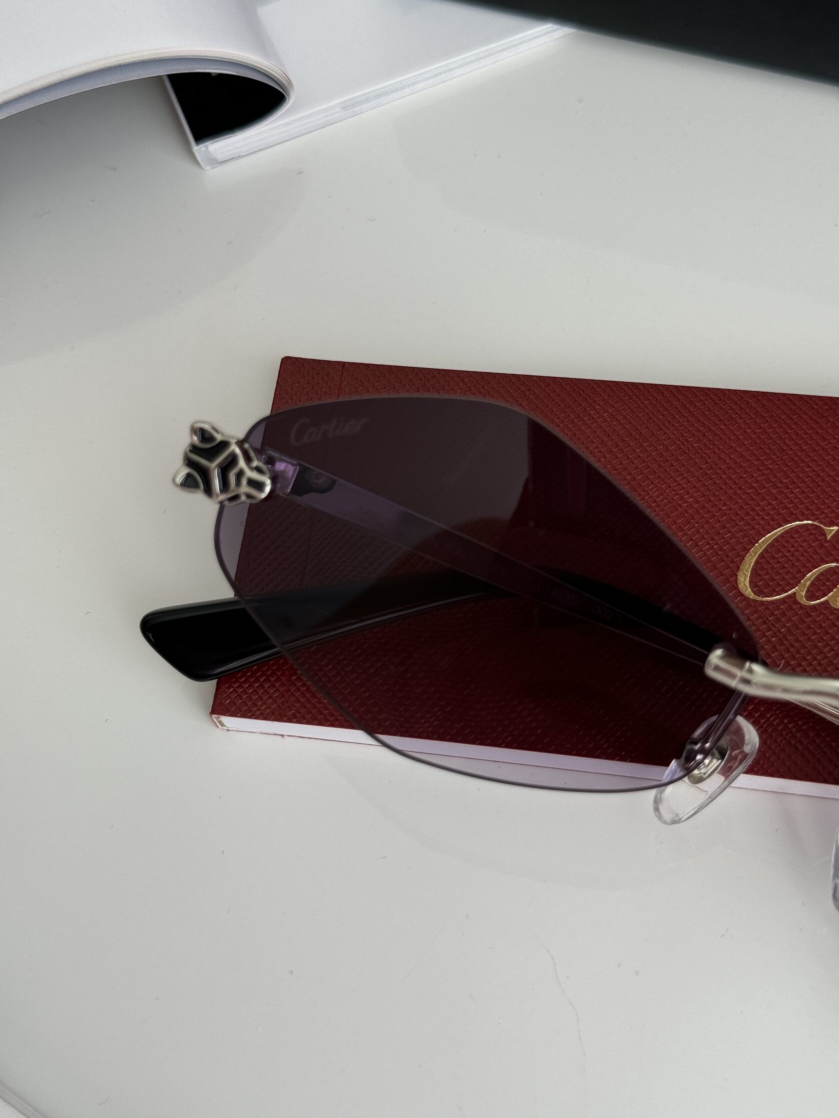 Cartier Panthère Losange Blue/Silver CT0433S - 14