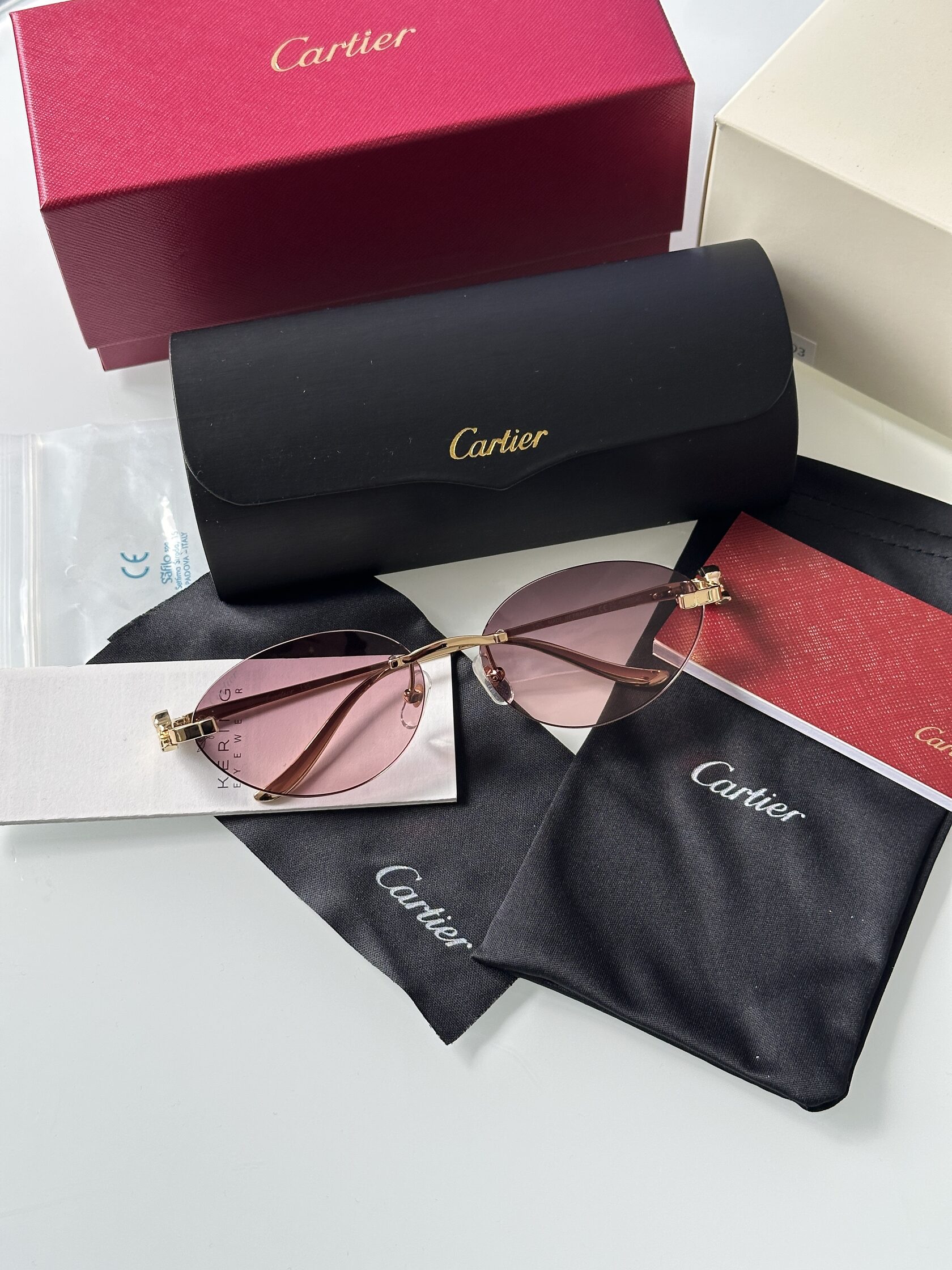 Cartier Panthère Pink/Gold CT0504S - 2