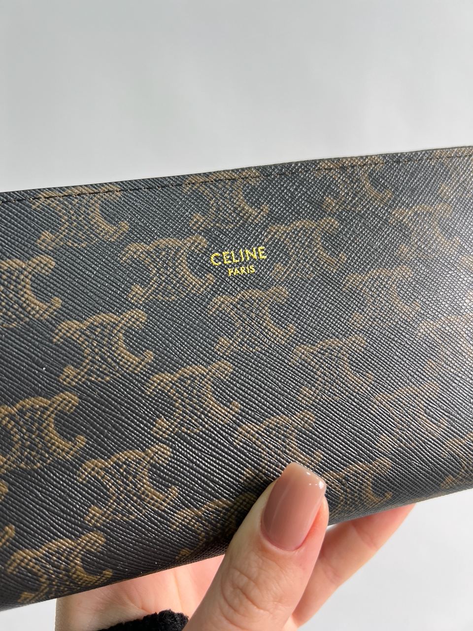 Celine Large Zipped Wallet in Triomphe Canvas Brown - 7