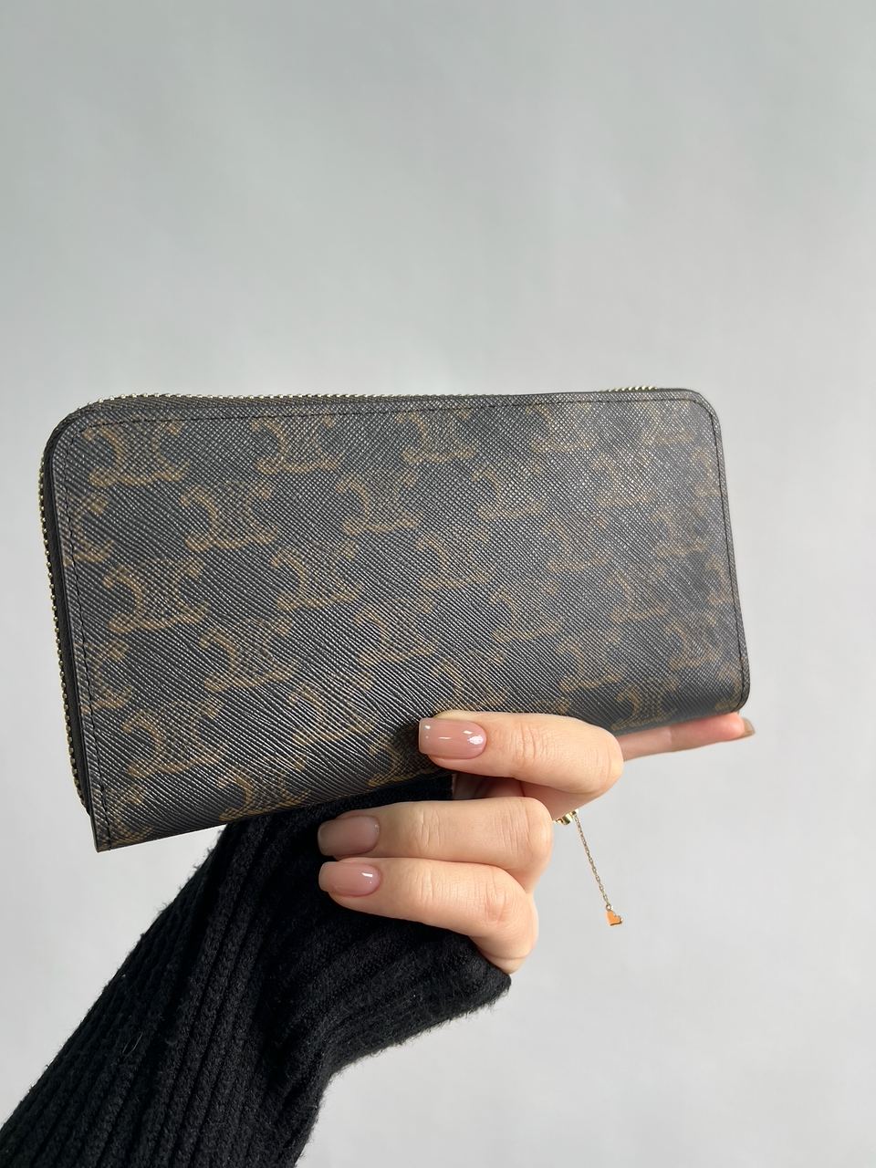 Celine Large Zipped Wallet in Triomphe Canvas Brown - 8