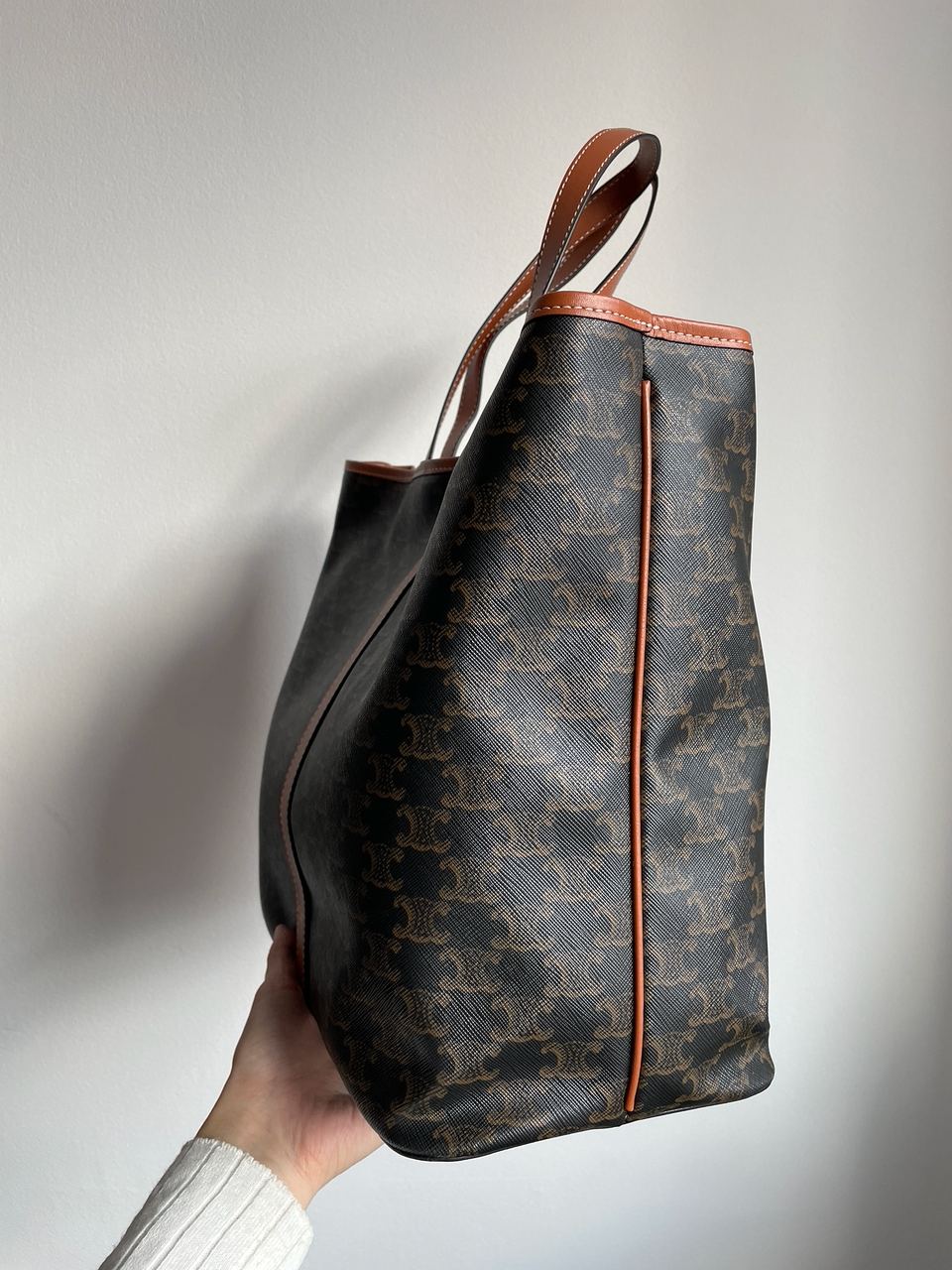 Celine Medium Cabas In Triomphe Canvas Tan - 13