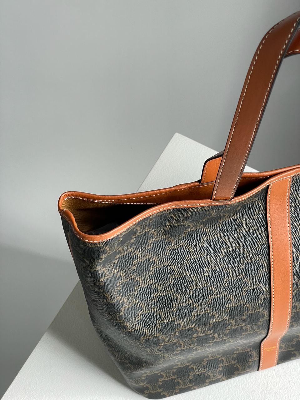 Celine Medium Cabas In Triomphe Canvas Tan - 16