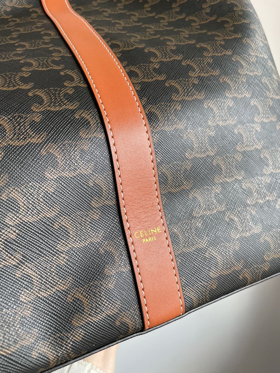 Celine Medium Cabas In Triomphe Canvas Tan - 19