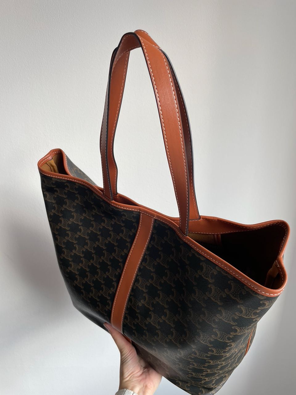 Celine Medium Cabas In Triomphe Canvas Tan - 20