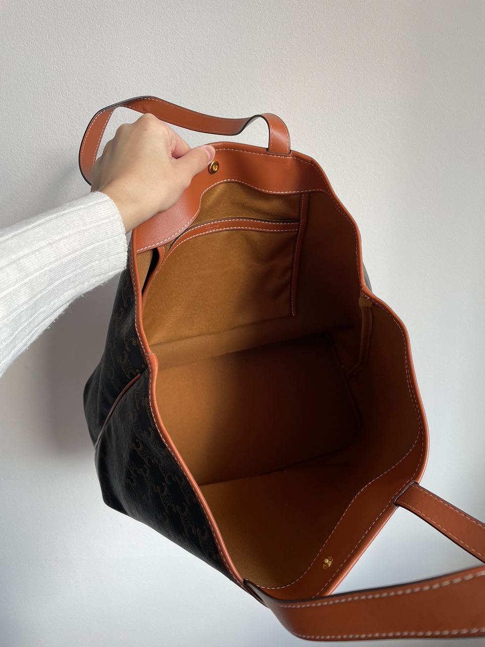 Celine Medium Cabas In Triomphe Canvas Tan - 22