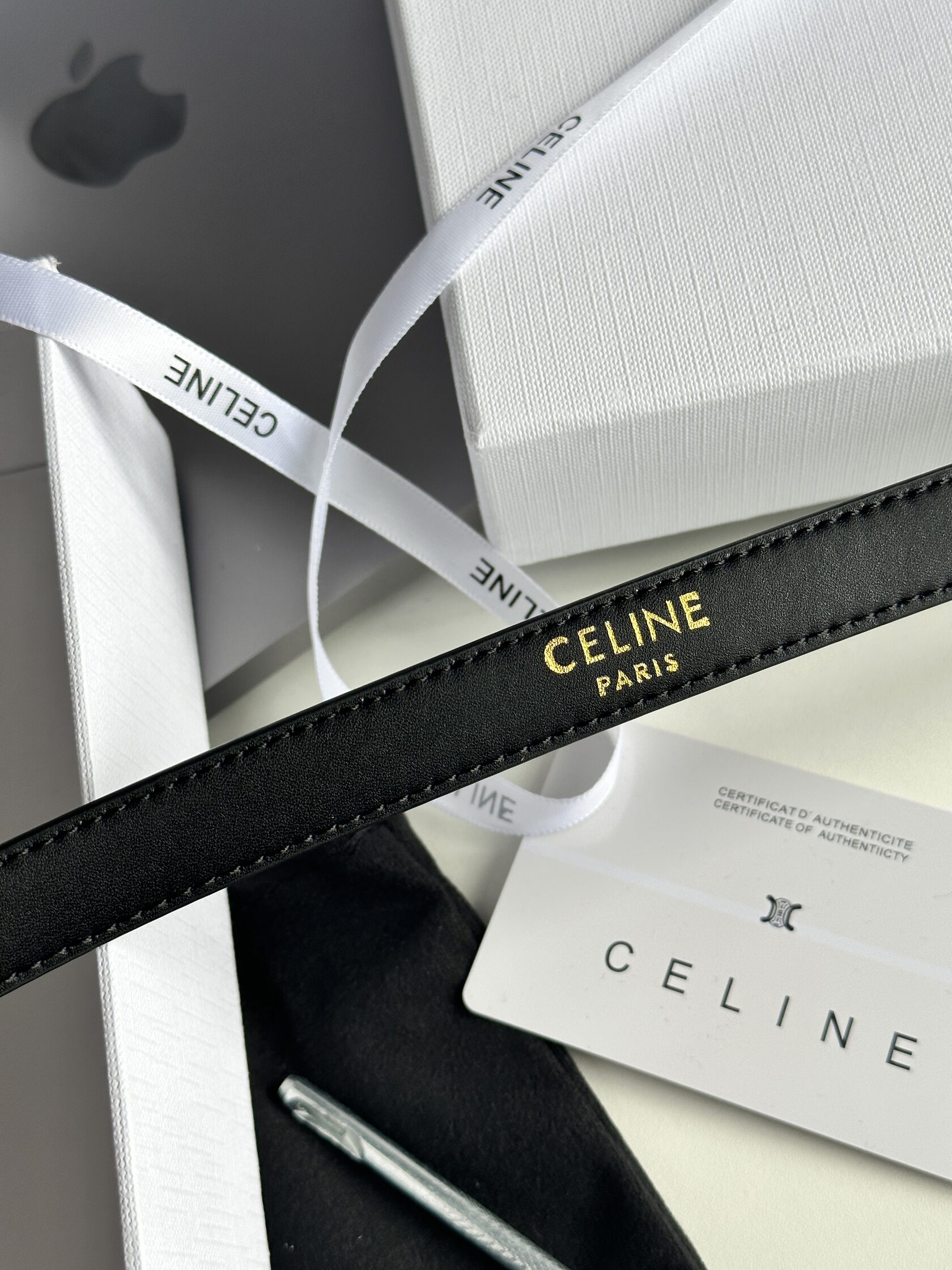 Celine Medium Triomphe Belt In Taurillon Leather Black - 10