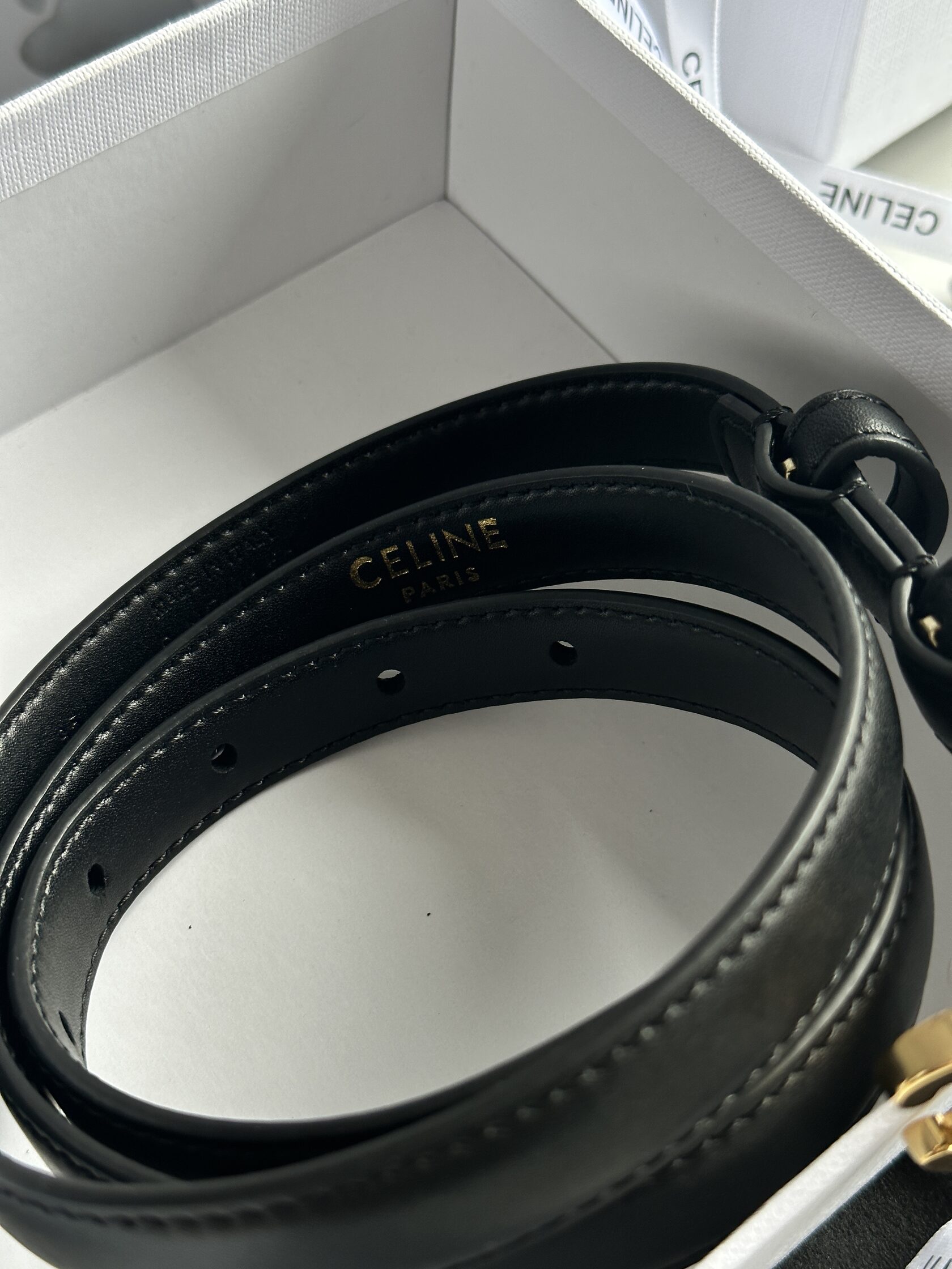 Celine Medium Triomphe Belt In Taurillon Leather Black - 12
