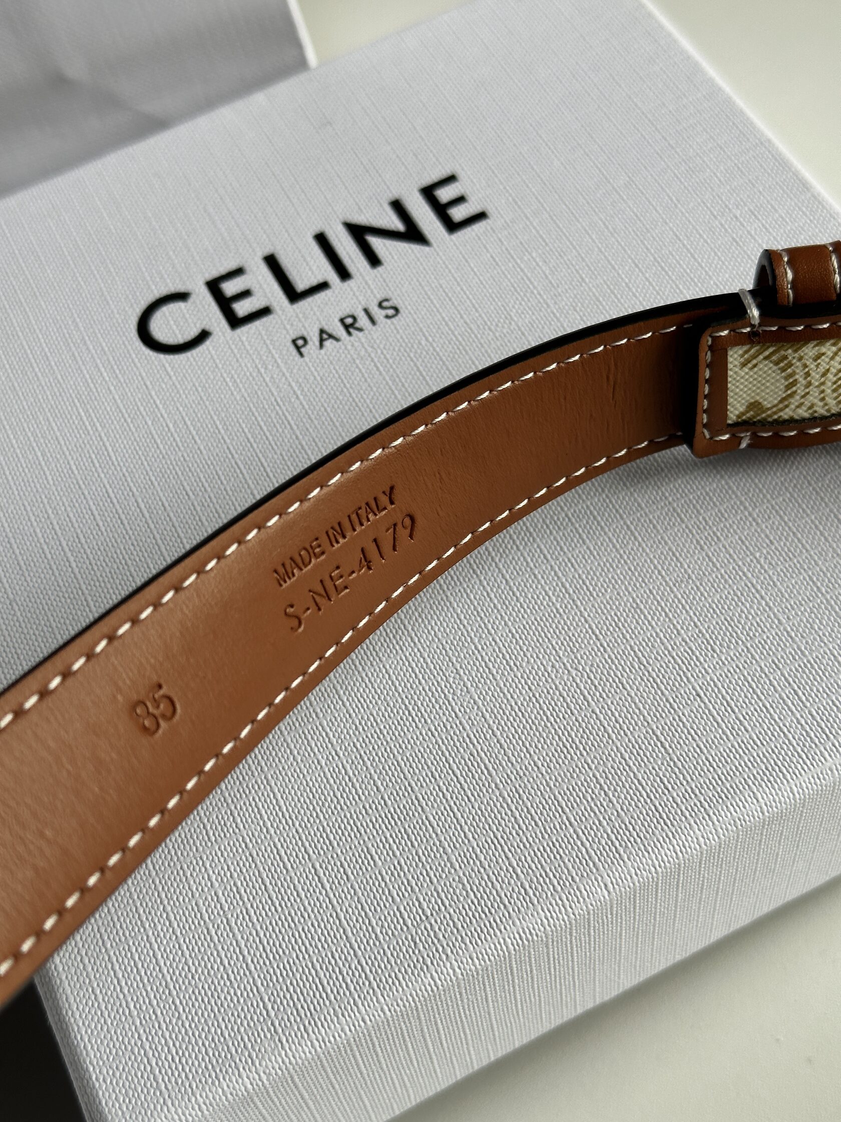 Celine Medium Triomphe Belt In Triomphe Canvas And Calfskin White - 9