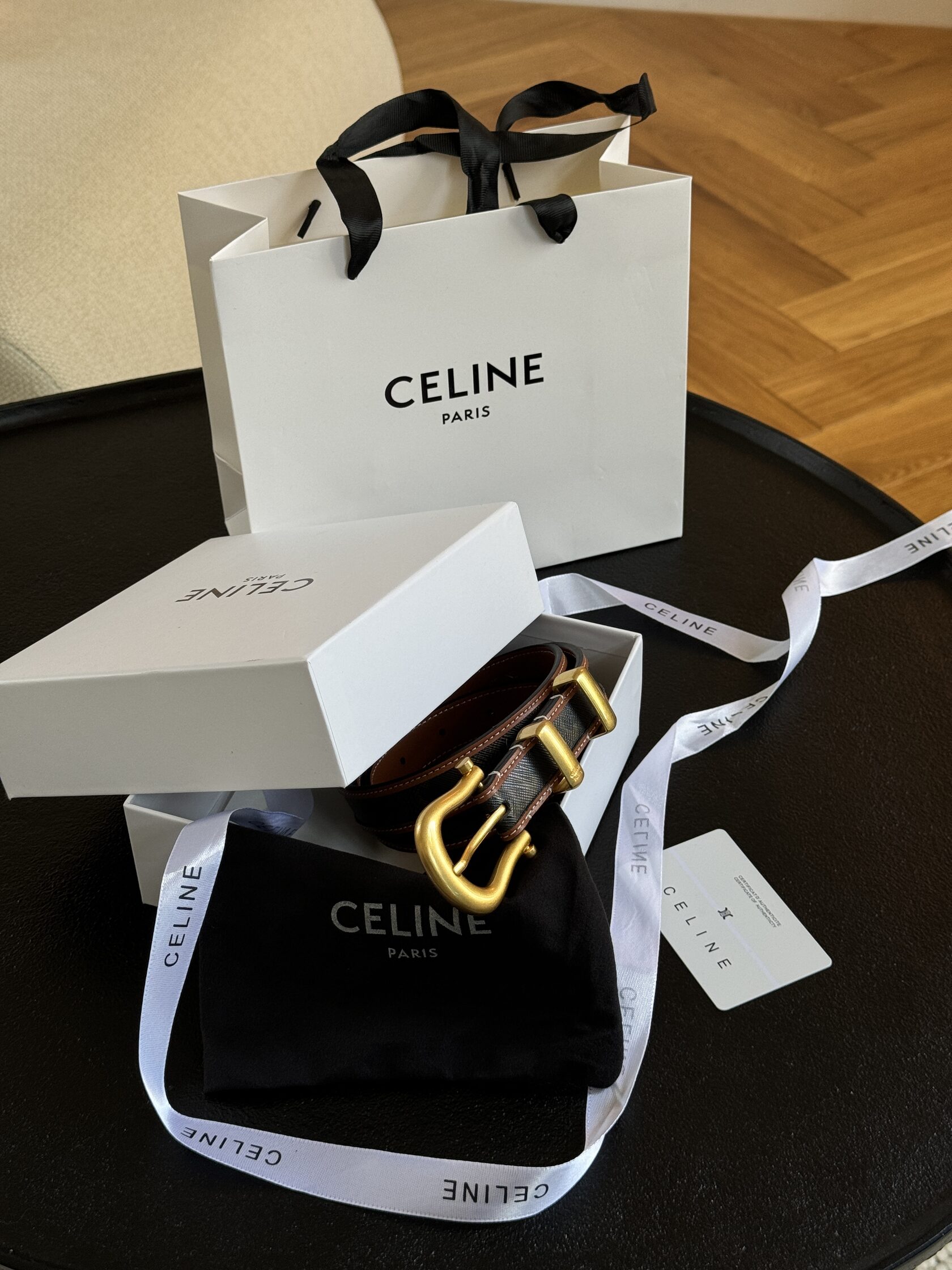 Celine Western Belt in Triomphe Canvas and Calfskin / Gold - 7
