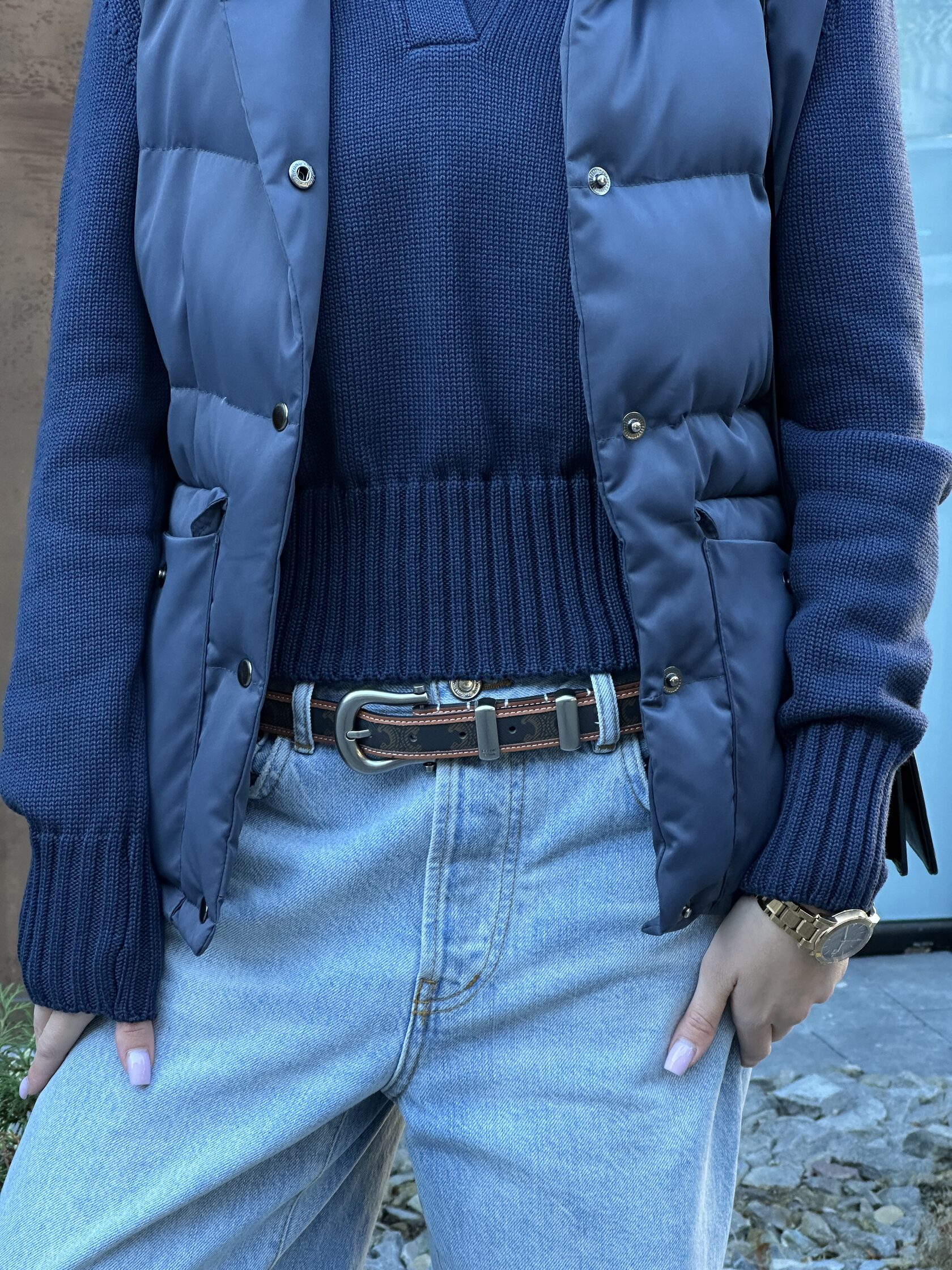 Celine Western Belt in Triomphe Canvas and Calfskin / Silver - 8