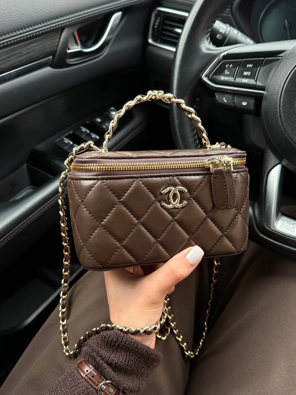 Chanel Classic Brown Lambskin Pearl Crush Vanity Bag Gold - 4