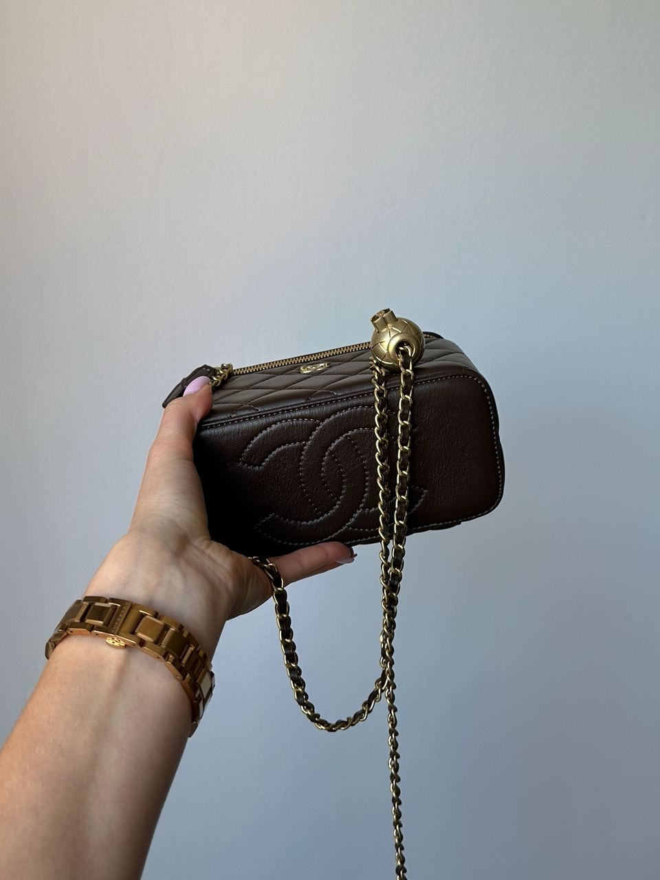 Chanel Classic Brown Lambskin Pearl Crush Vanity Bag Gold - 10