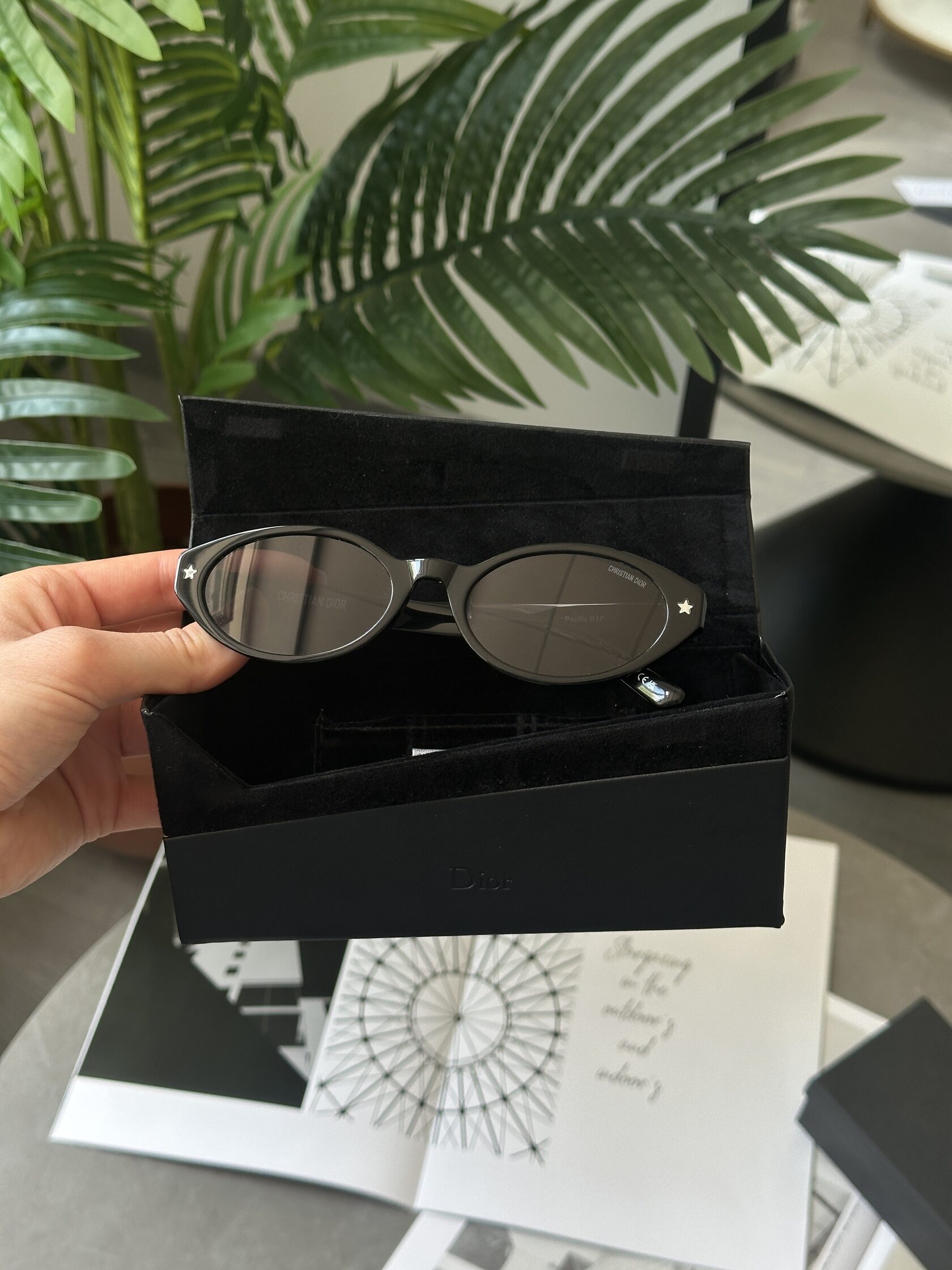 Christian Dior Black/Black Dior Pacific R1F - 4