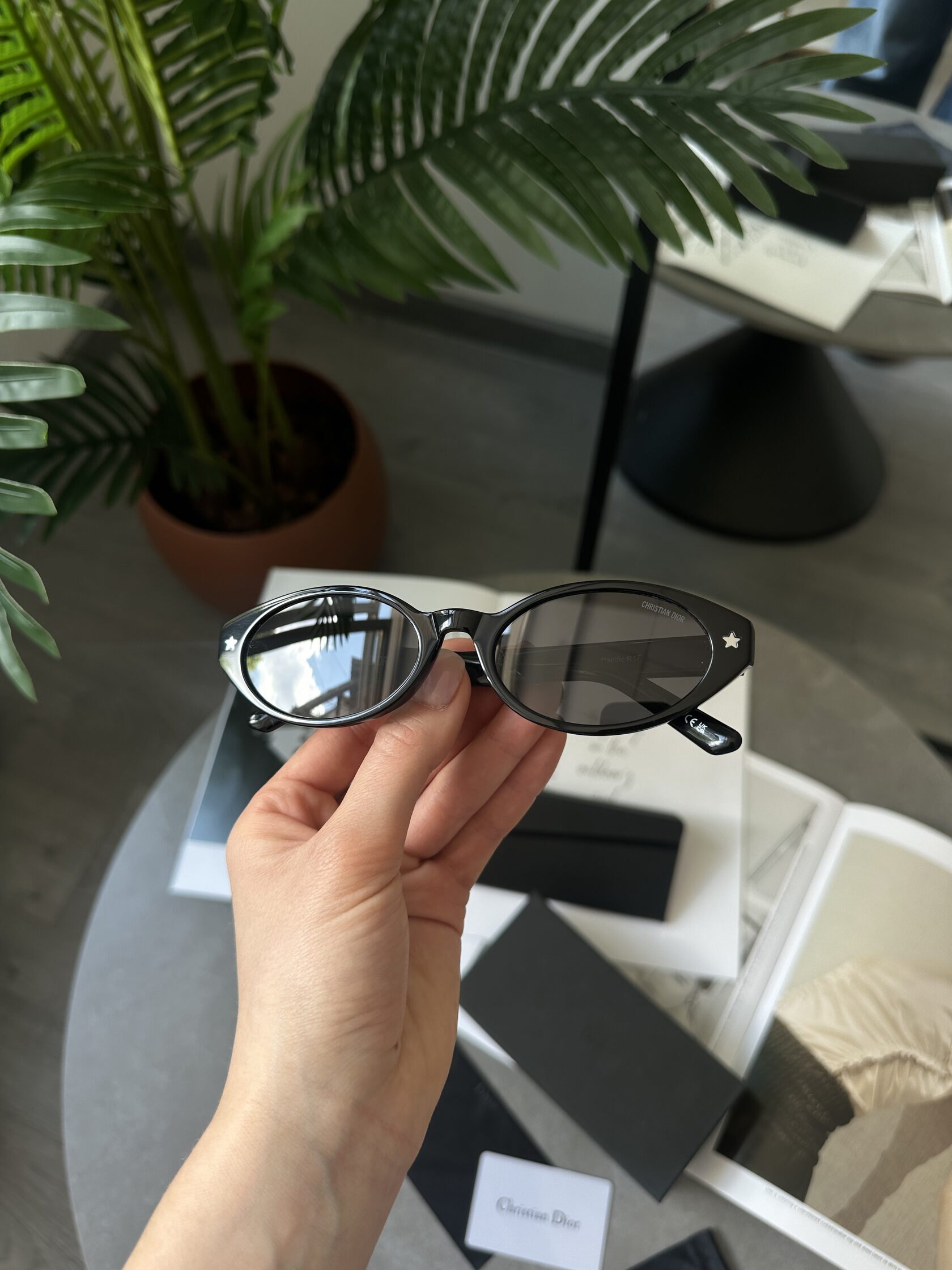 Christian Dior Black/Black Dior Pacific R1F - 6