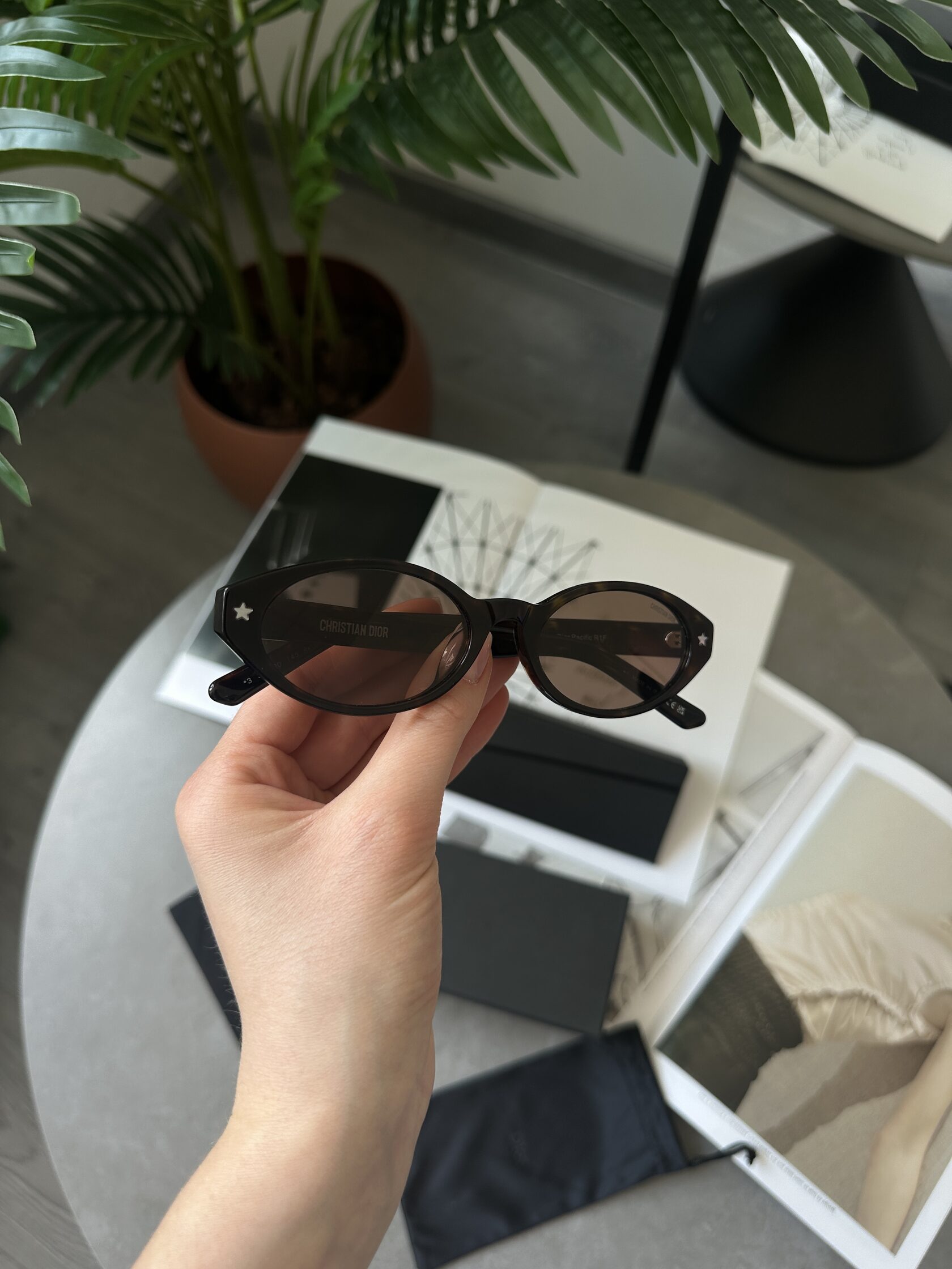 Christian Dior Brown/Leo Dior Pacific R1F - 4