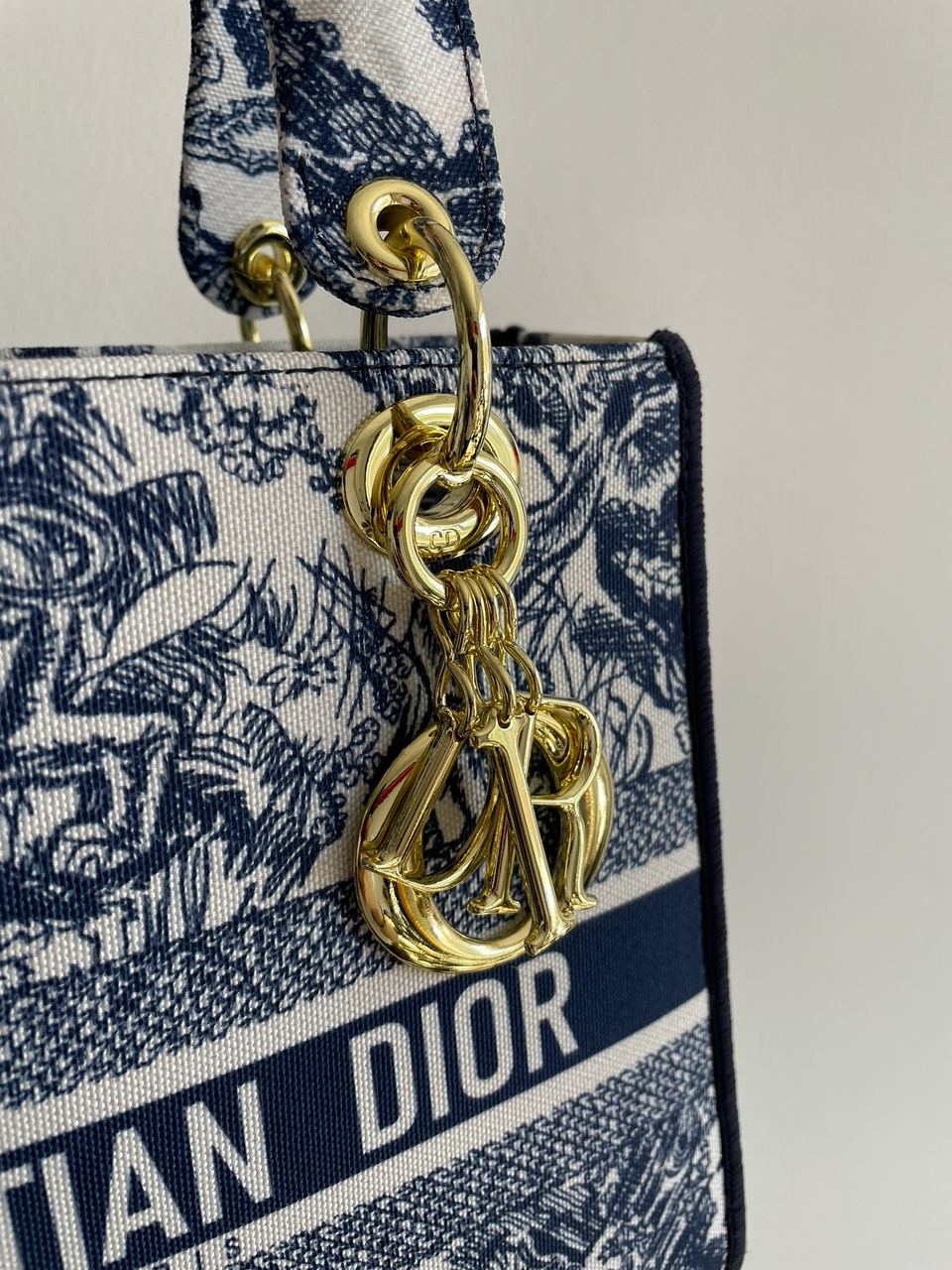 Christian Dior Medium Lady D-Lite Bag Blue/White - 11
