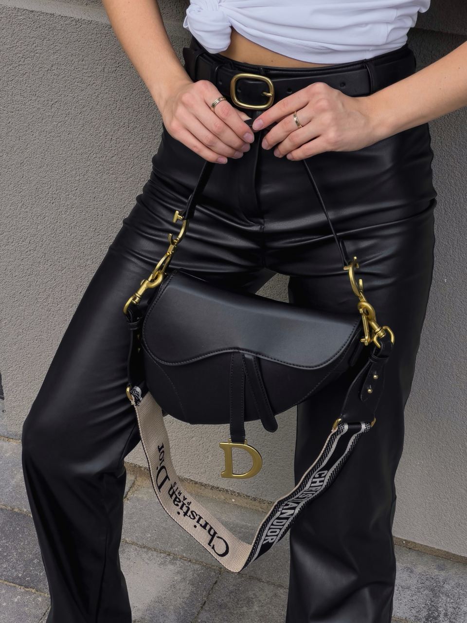 Christian Dior Saddle Calfskin Bag - 15