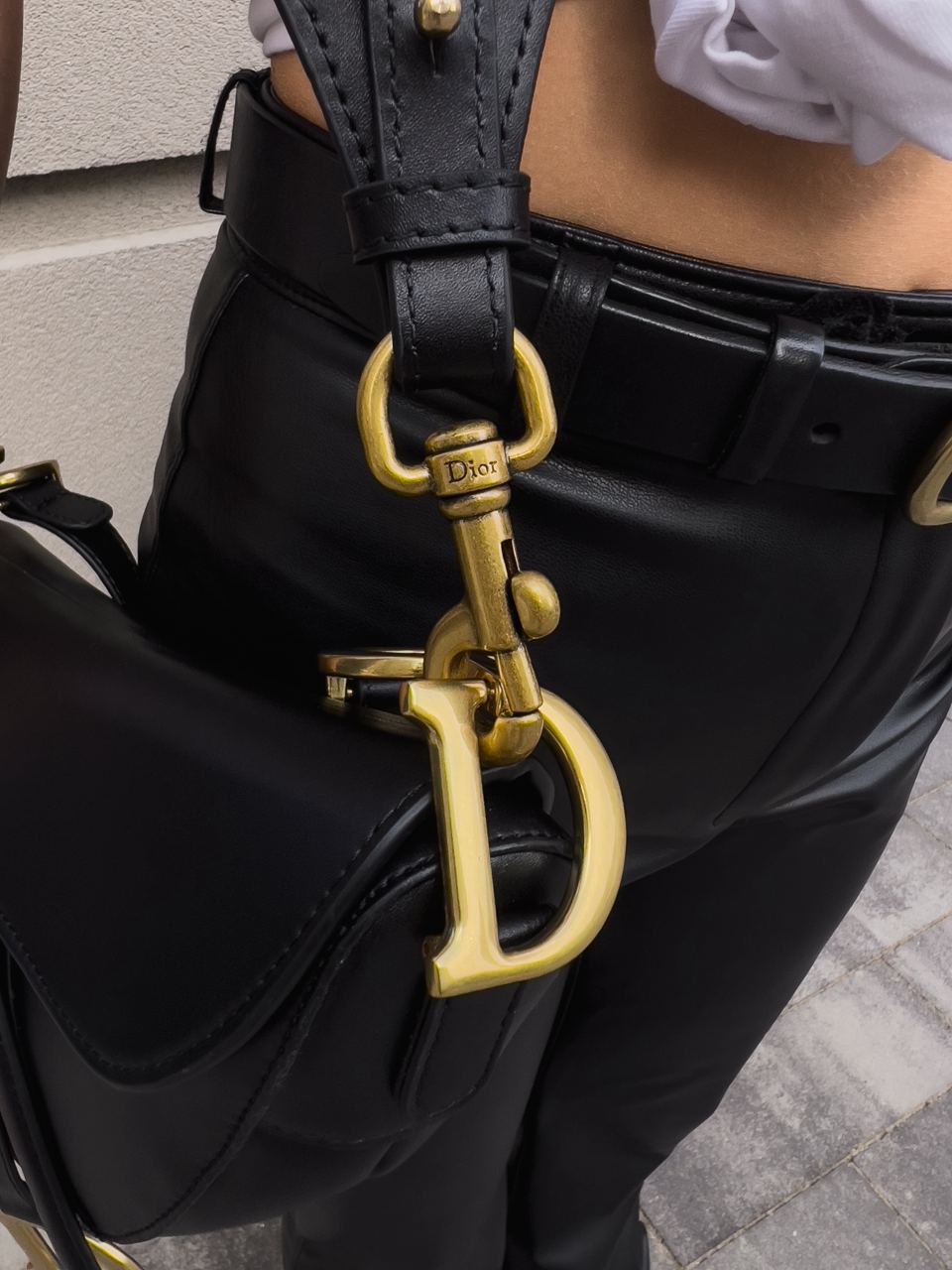 Christian Dior Saddle Calfskin Bag - 22