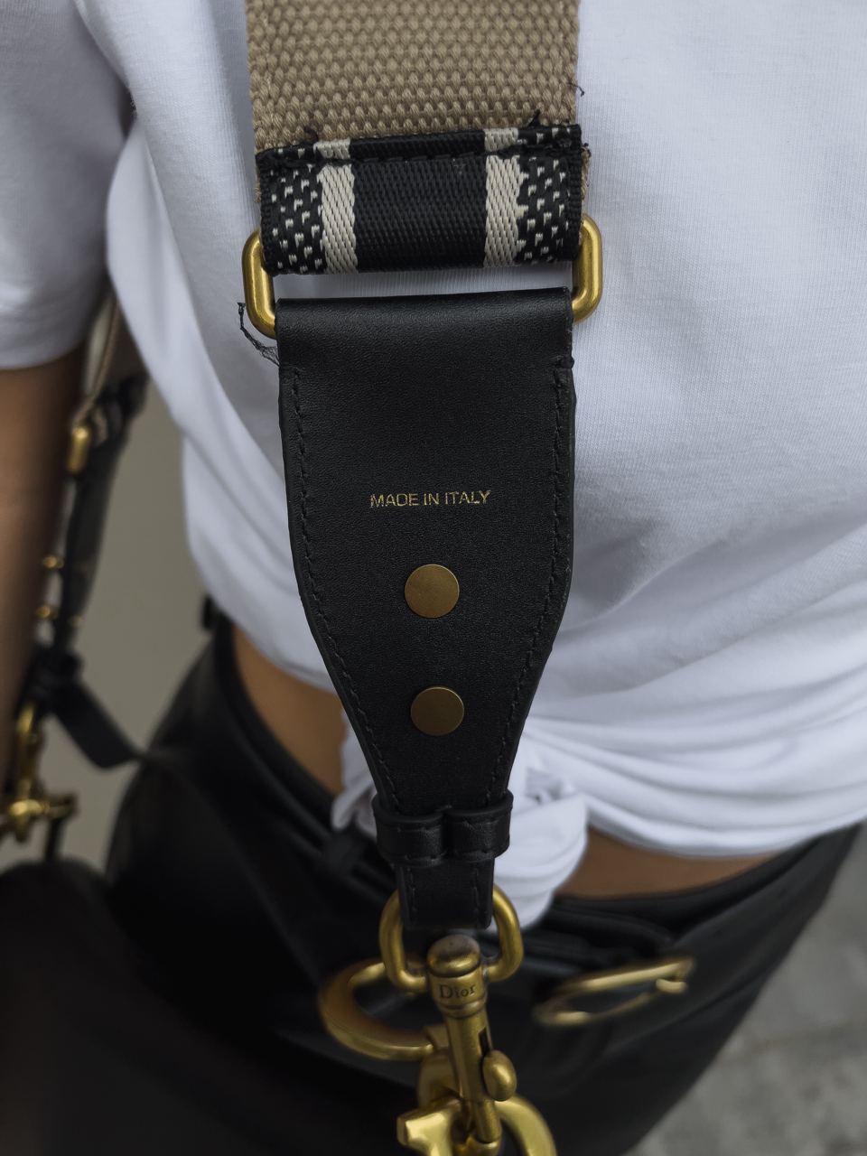 Christian Dior Saddle Calfskin Bag - 23