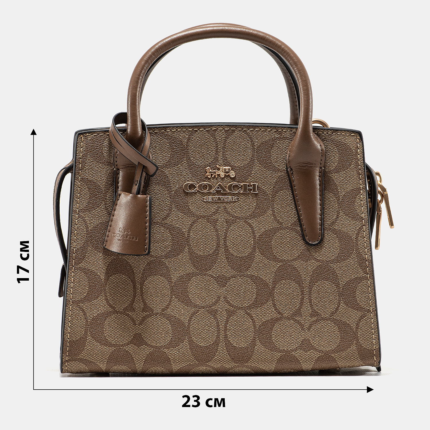 Coach Andrea Carryall In Signature Canvas Beige - 3