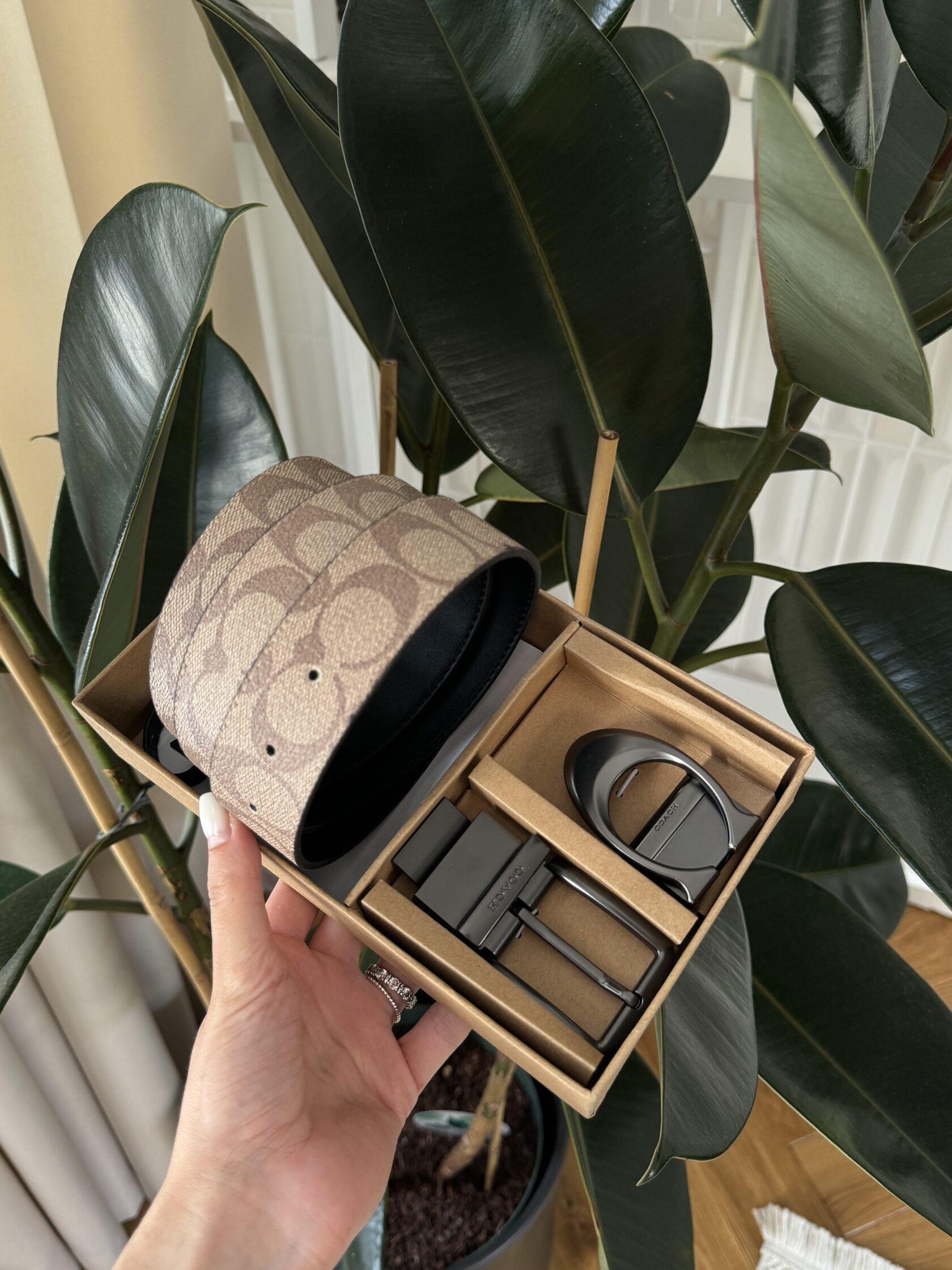 Coach Belt Kit Beige Canvas/Black Fittings - 7