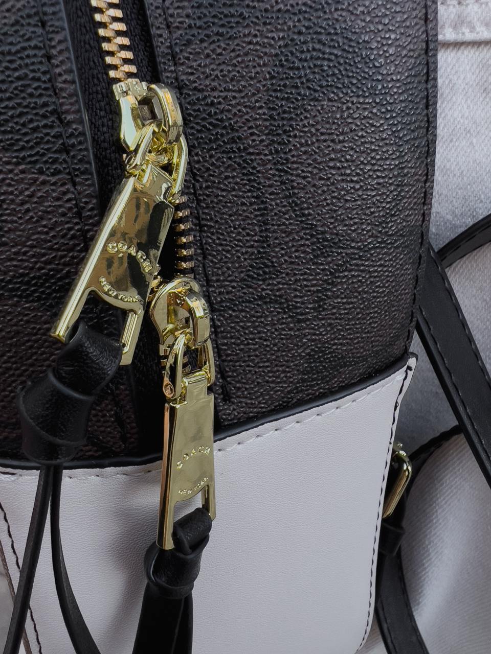 Coach Court Backpack in Signature Canvas - 21