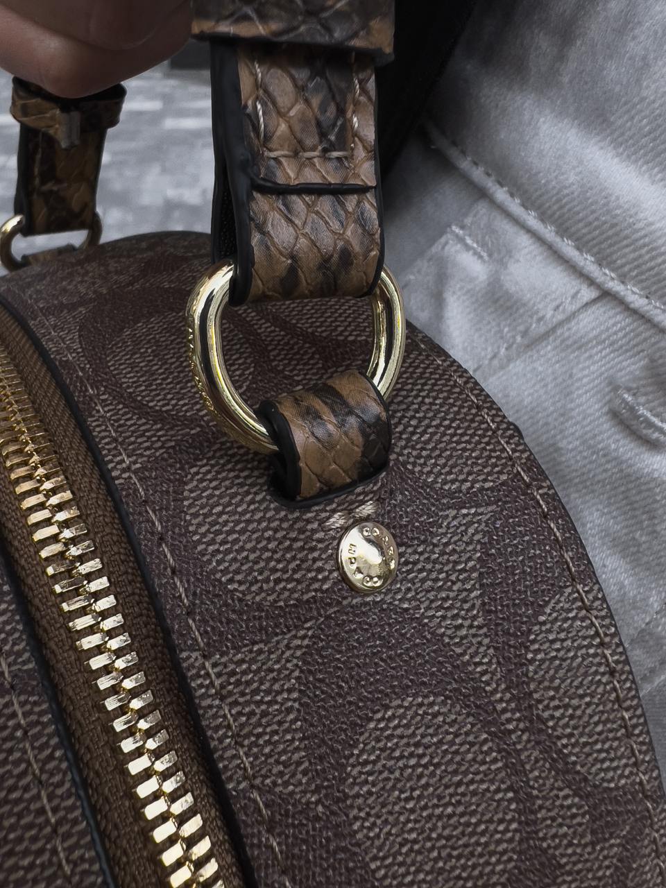 Coach Court Backpack in Signature Canvas - 18