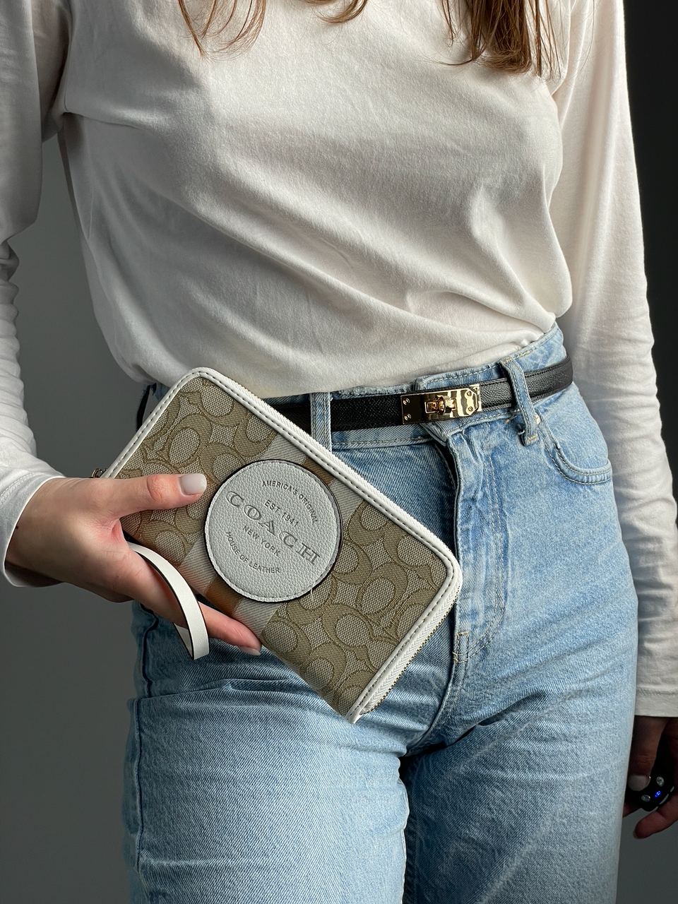 Coach Dempsey Large Wallet In Signature Jacquard Beige - 4