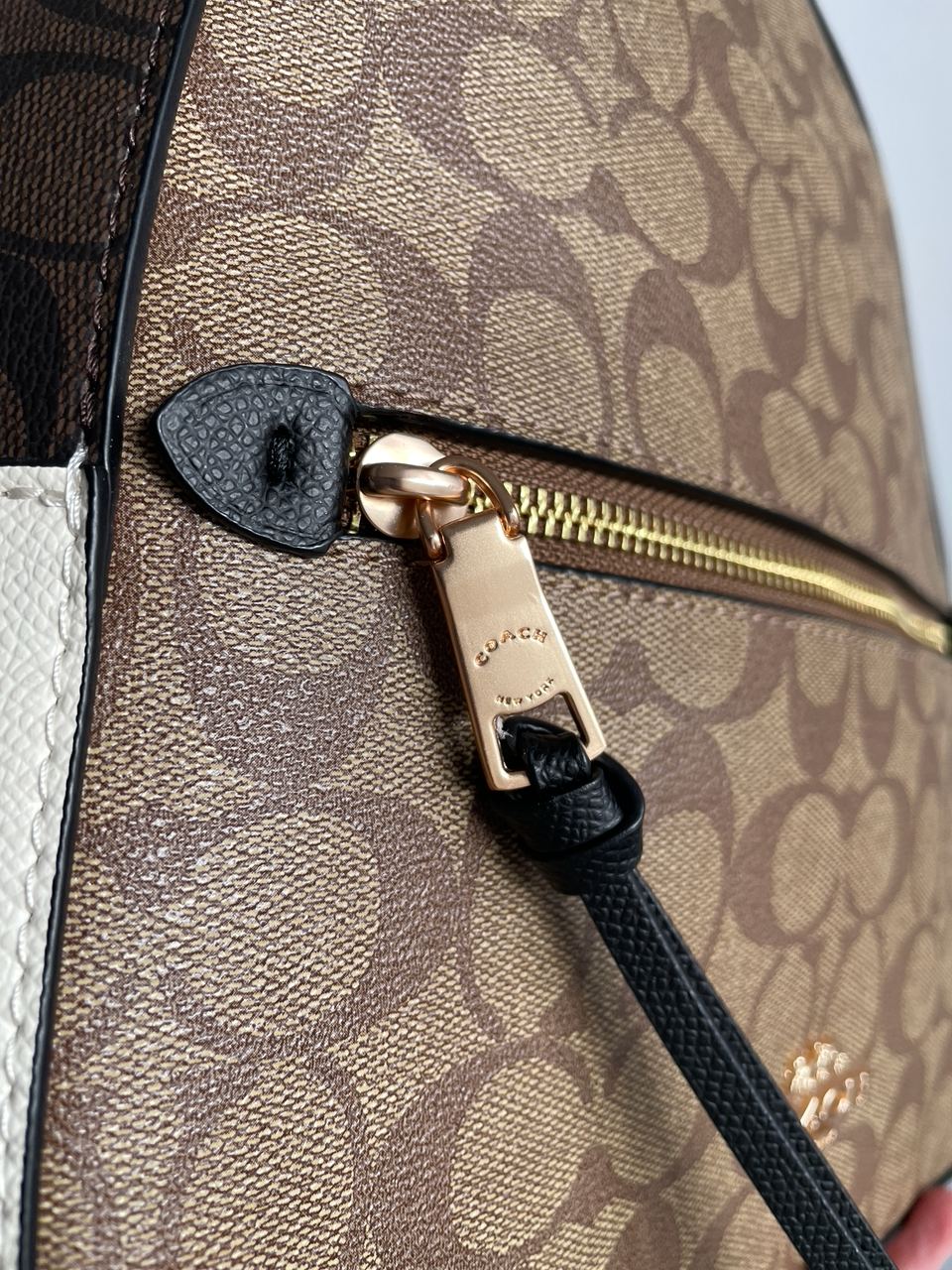 Coach Jordyn Backpack in Signature Canvas - 19