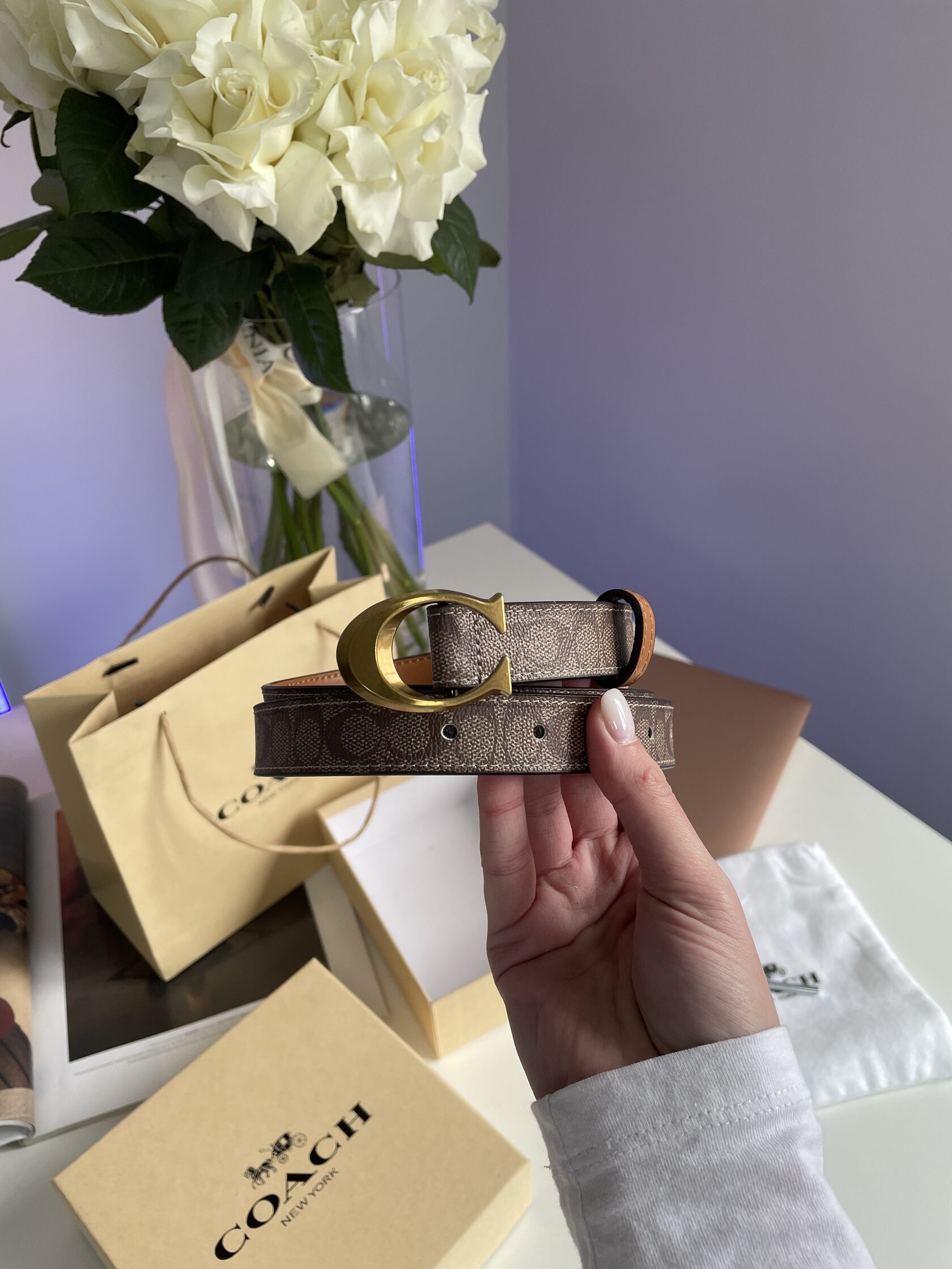 Coach Sculpted C Buckle Belt Beige - 6