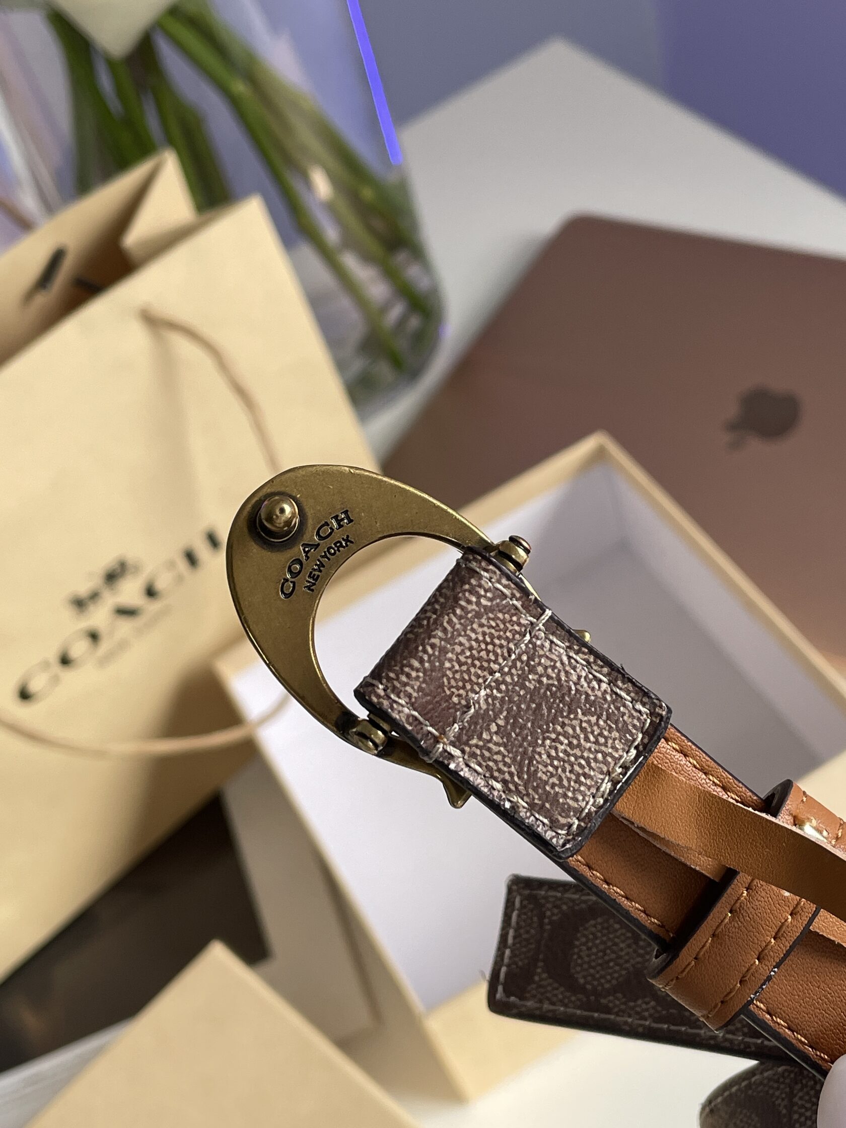 Coach Sculpted C Buckle Belt Beige - 7