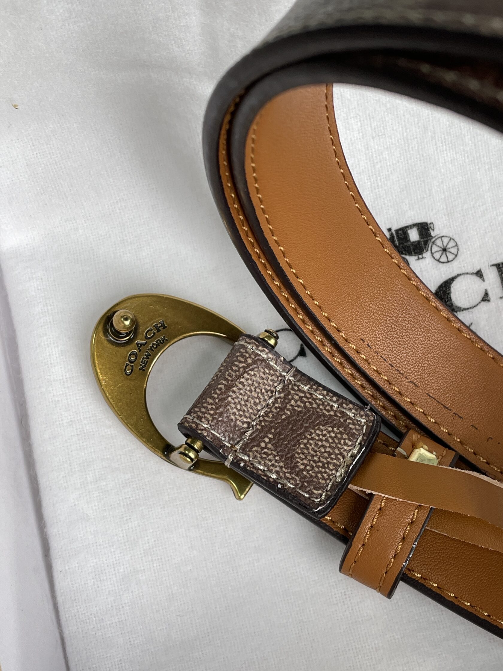 Coach Sculpted C Buckle Belt Beige - 8