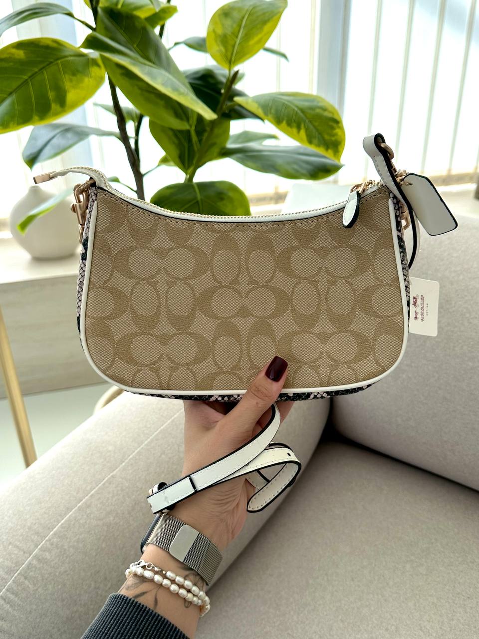 Coach Swinger 20 Signature Canvas - 3