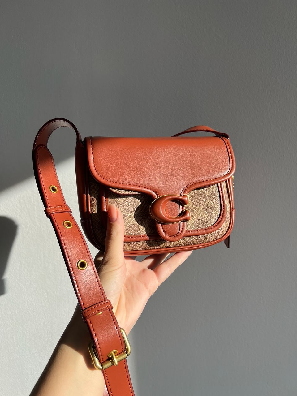 Coach Tabby Messenger In Signature Canvas - 10