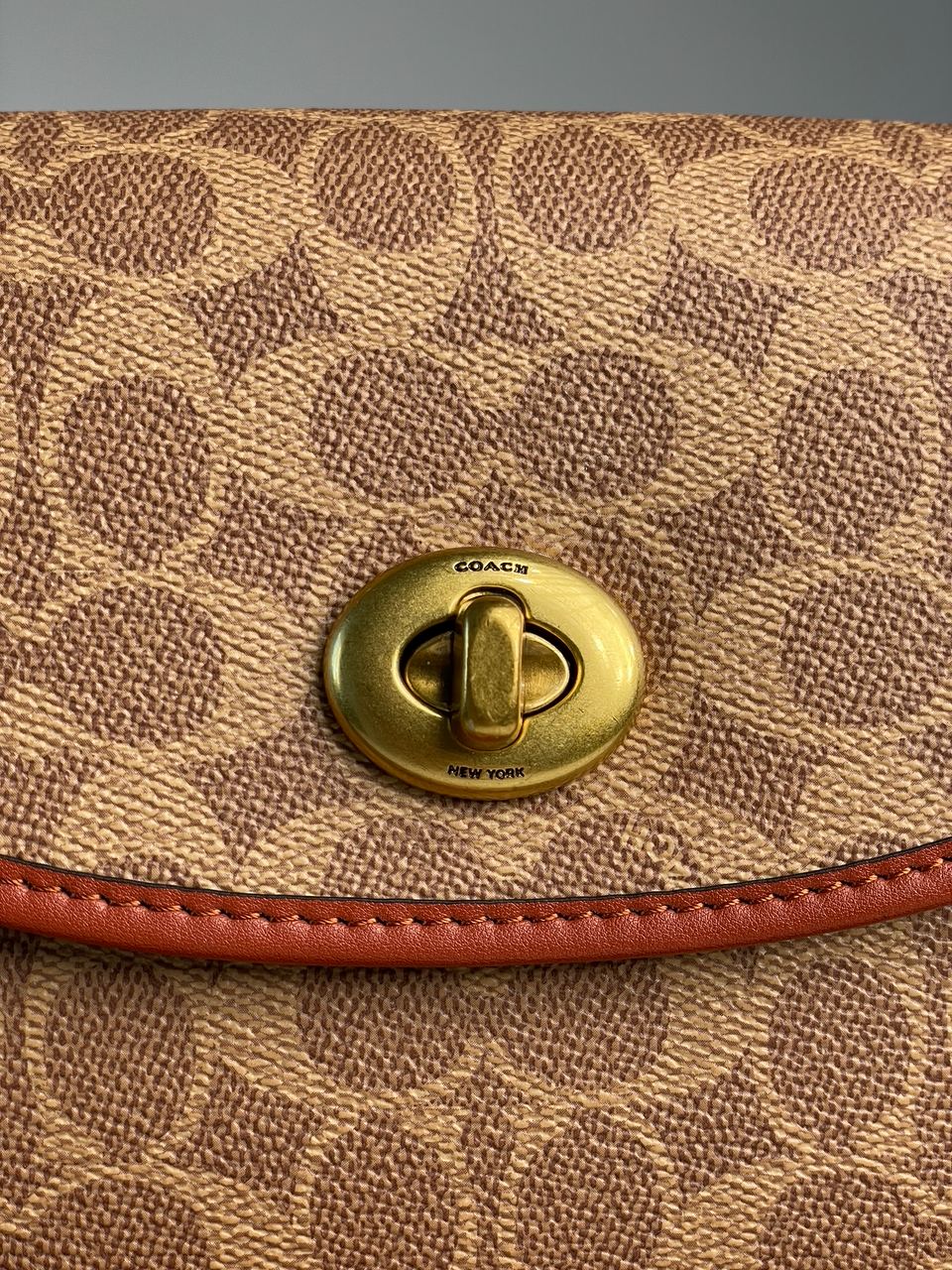 Coach Willow Medium Signature Canvas Saddle Bag - 14