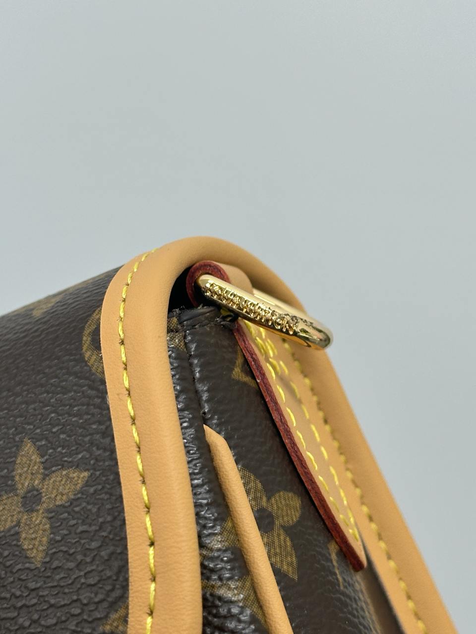 Louis Vuitton Diane Monogram Canvas - 13