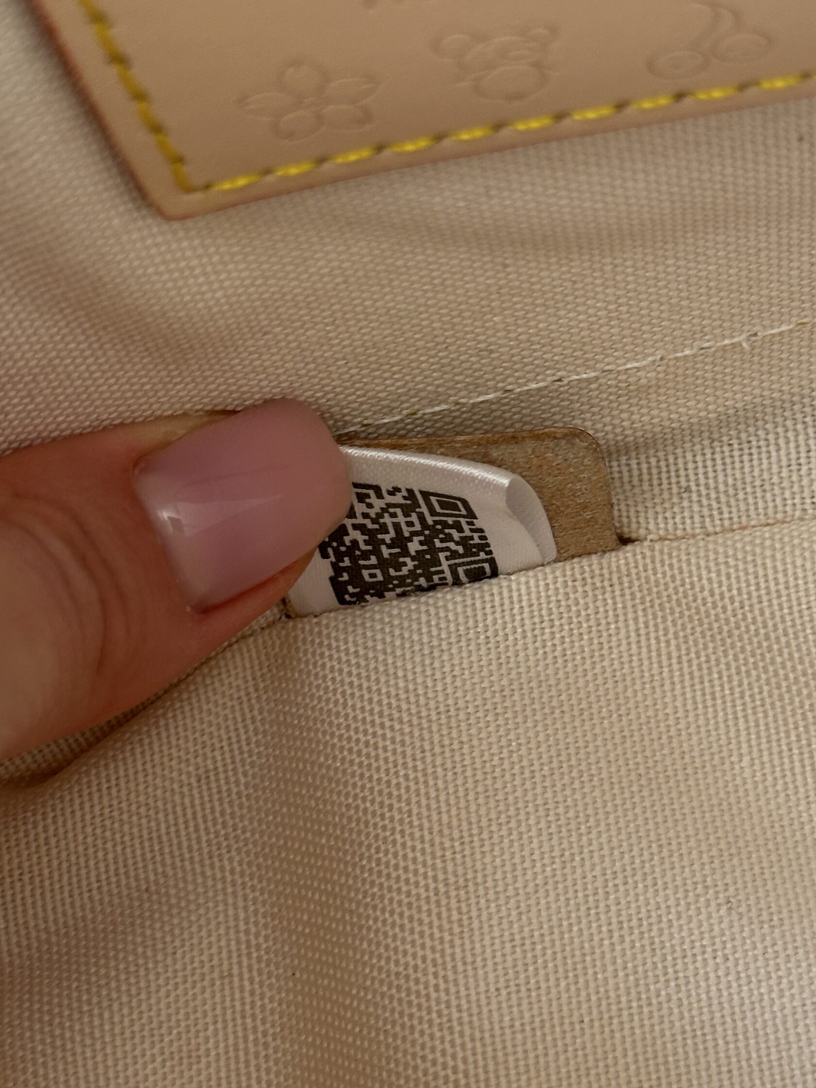 Louis Vuitton LV x TM Nano Alma Monogram Multicolor - 25