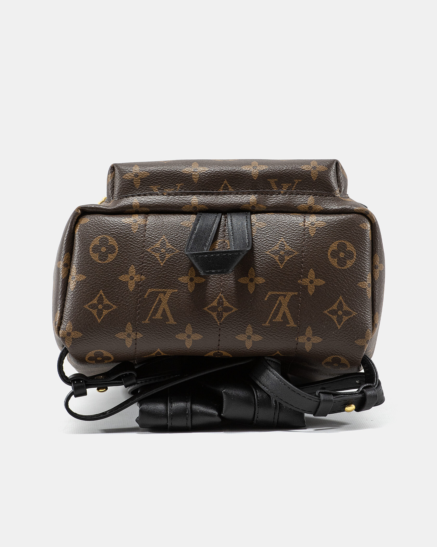 Louis Vuitton Palm Springs PM Brown/Black - 10