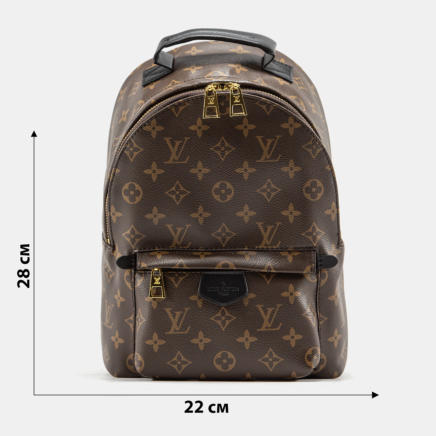 Louis Vuitton Palm Springs PM Brown/Black - 3