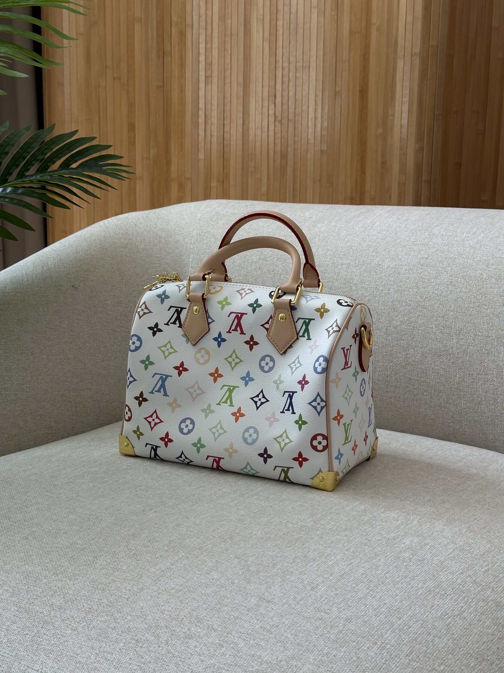 Louis Vuitton x Murakami Takashi Speedy Bandouliere 25 Multicol - 8