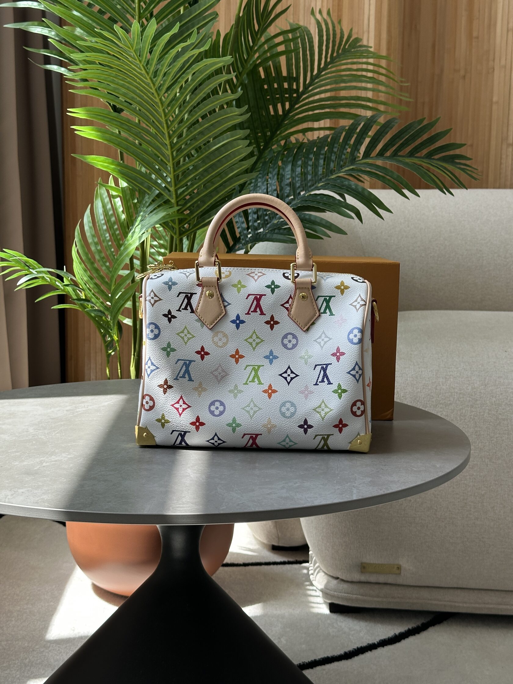 Louis Vuitton x Murakami Takashi Speedy Bandouliere 25 Multicol - 9